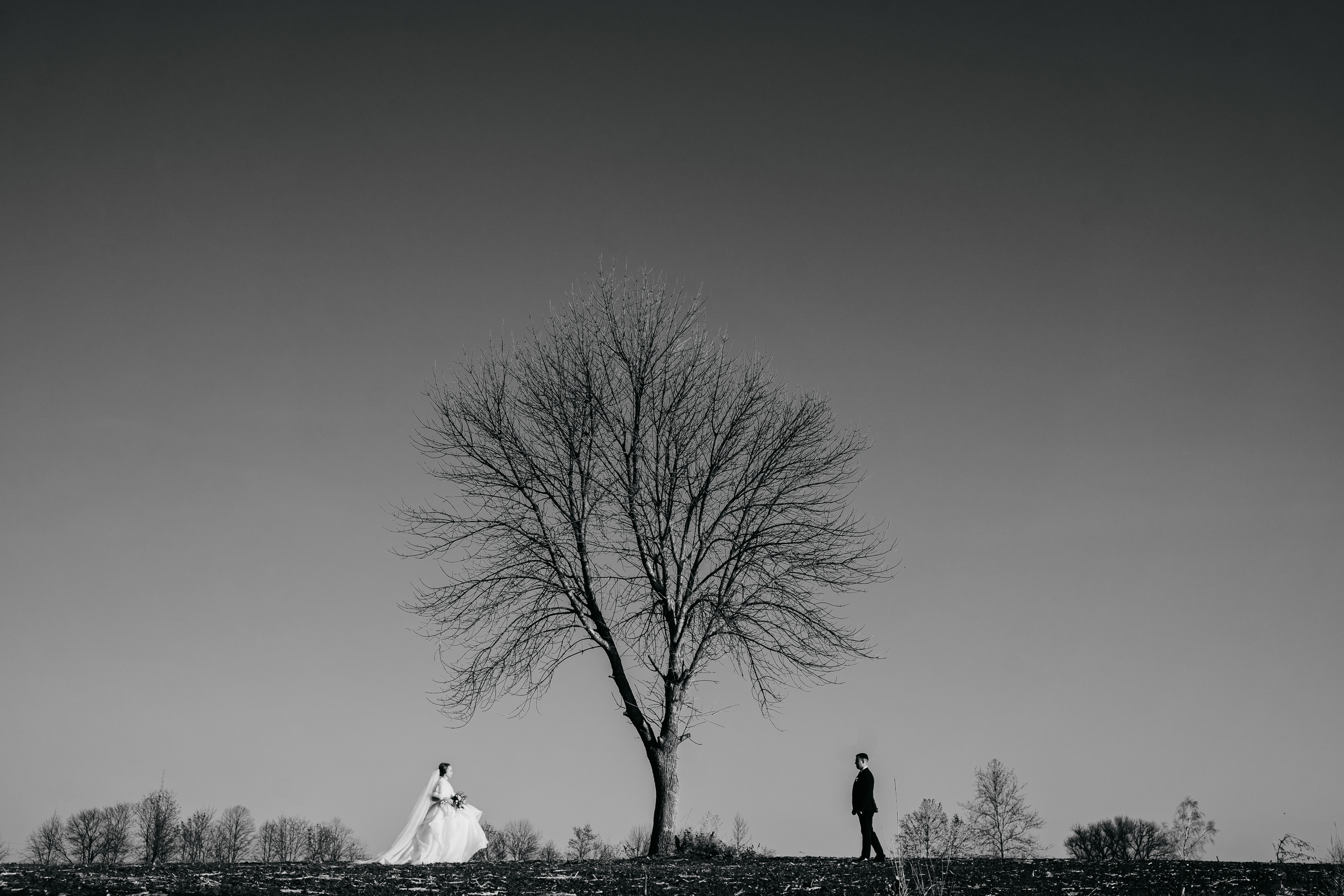 Свадебный фотограф Краснодар Олег Олеарт — Краснодар, Москва, Сочи