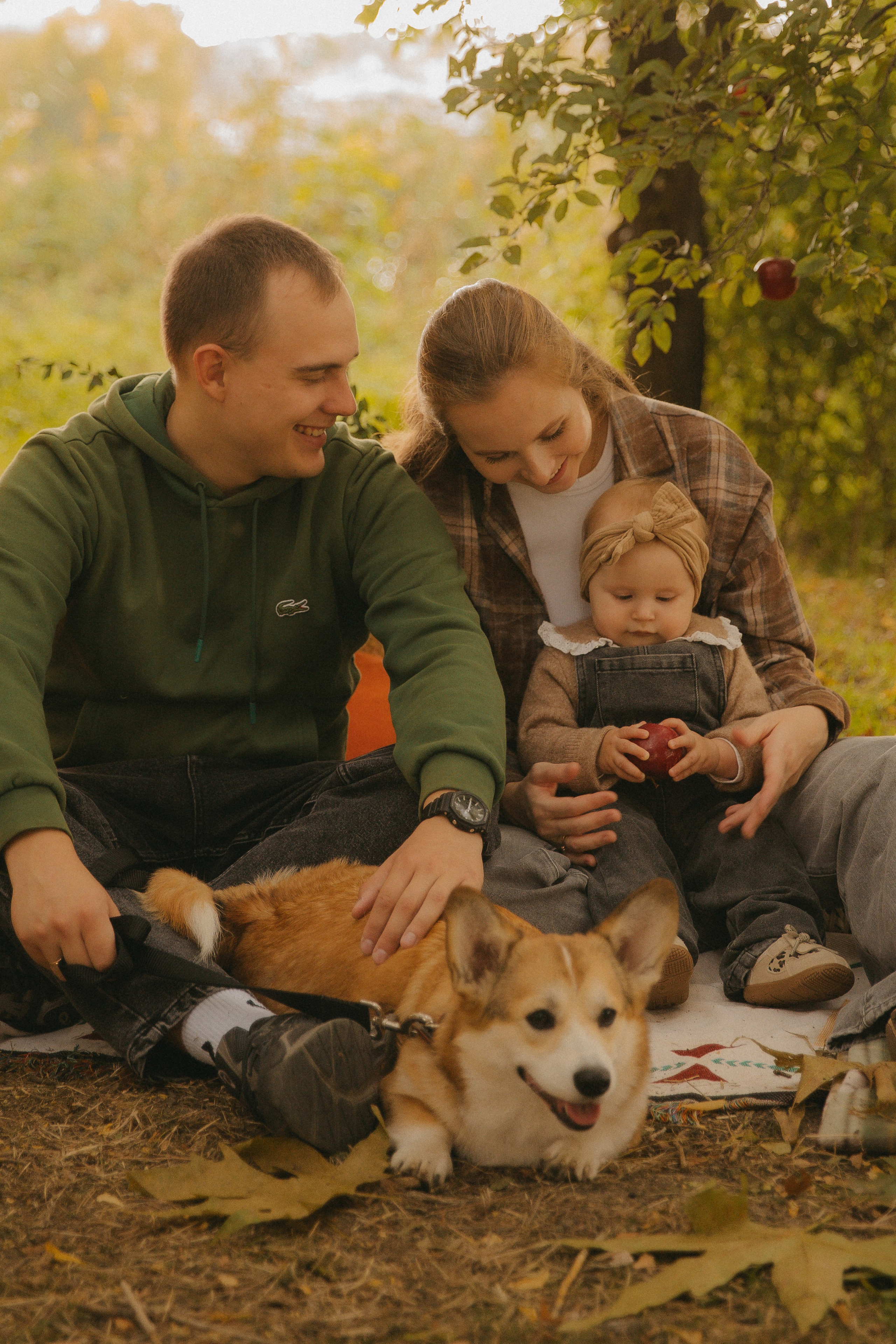 Фотопроект с корги