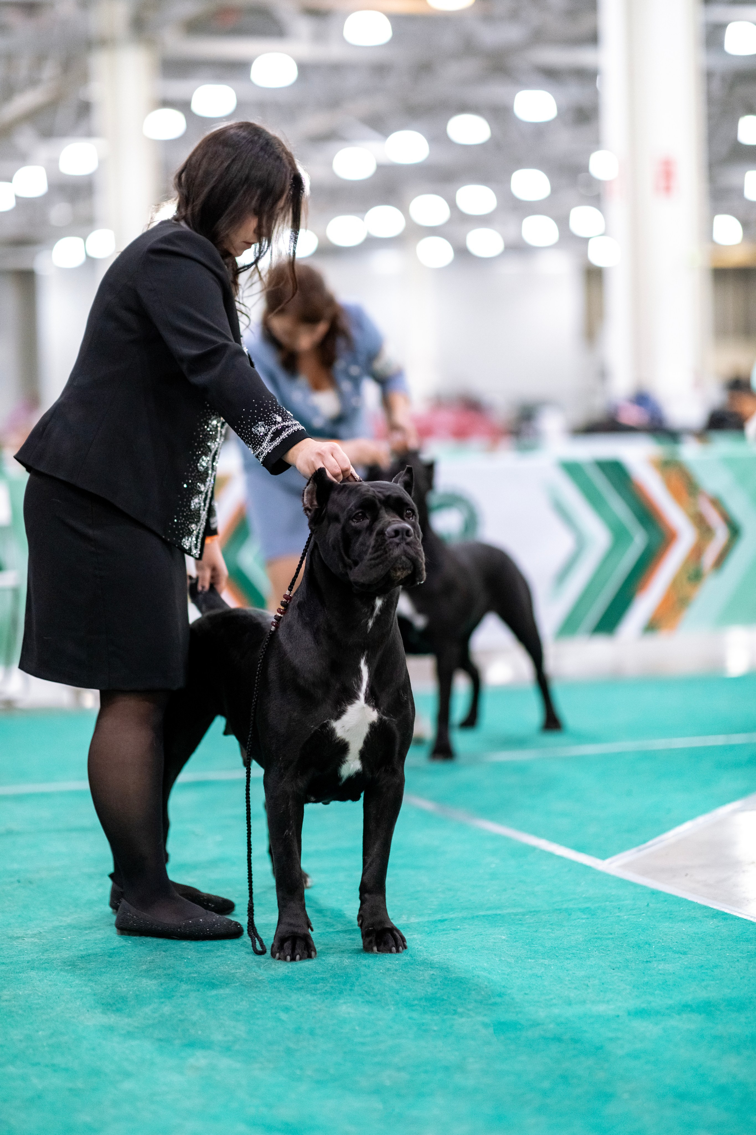 Евразия. Фотограф — анималист Татьяна Ли