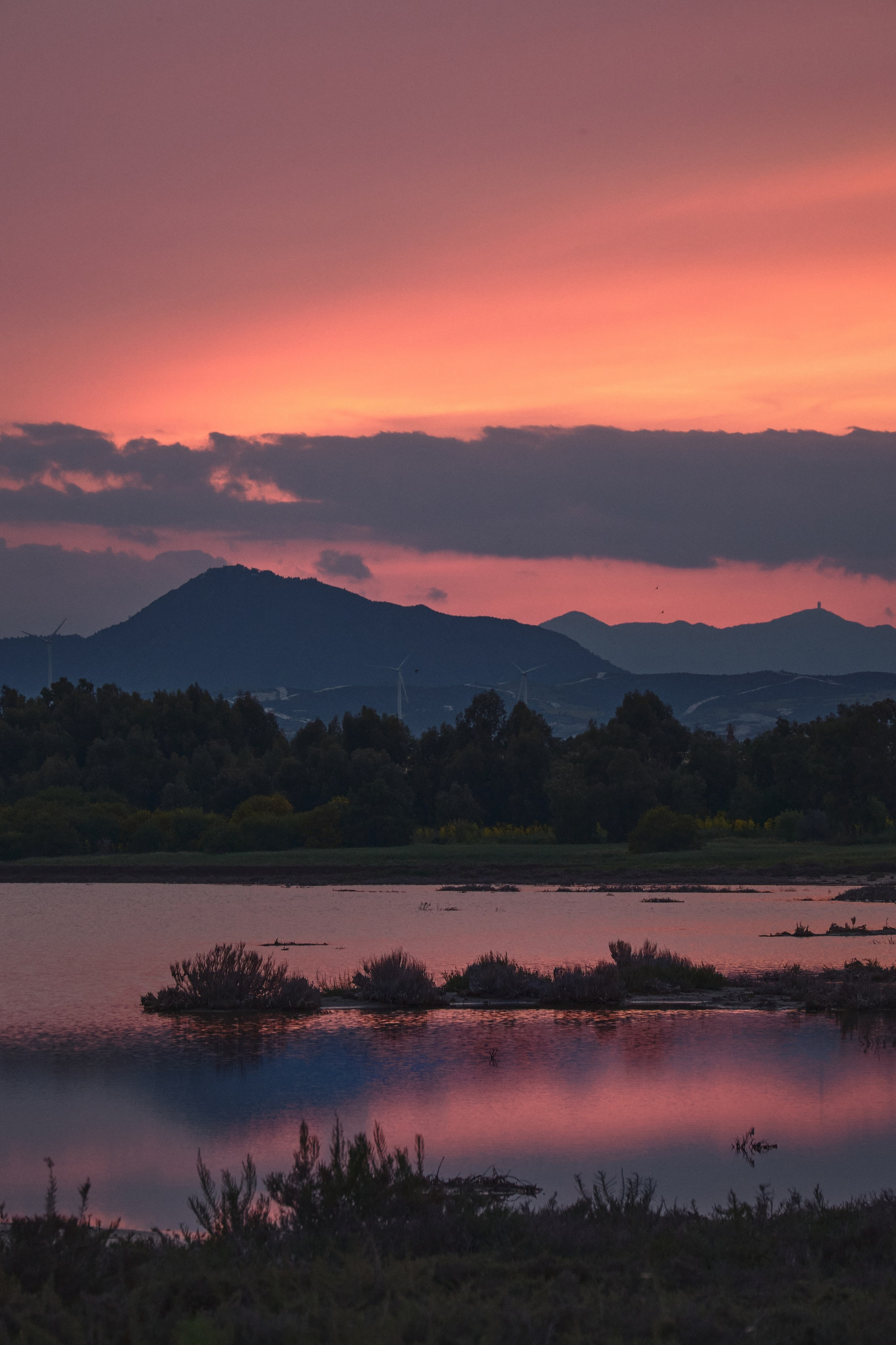 Cyprus 2024 / march. Aleksandr Kobtsev