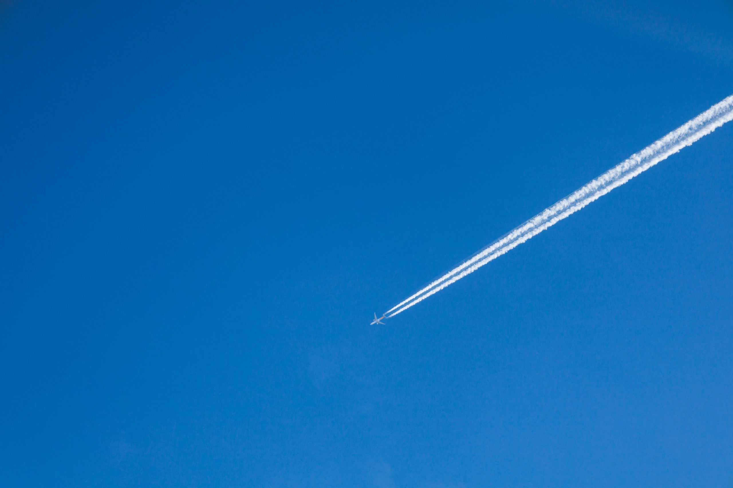 Адыгея. Лаго-Наки 27.01.24. Фотограф katya_vkadre Таганрог