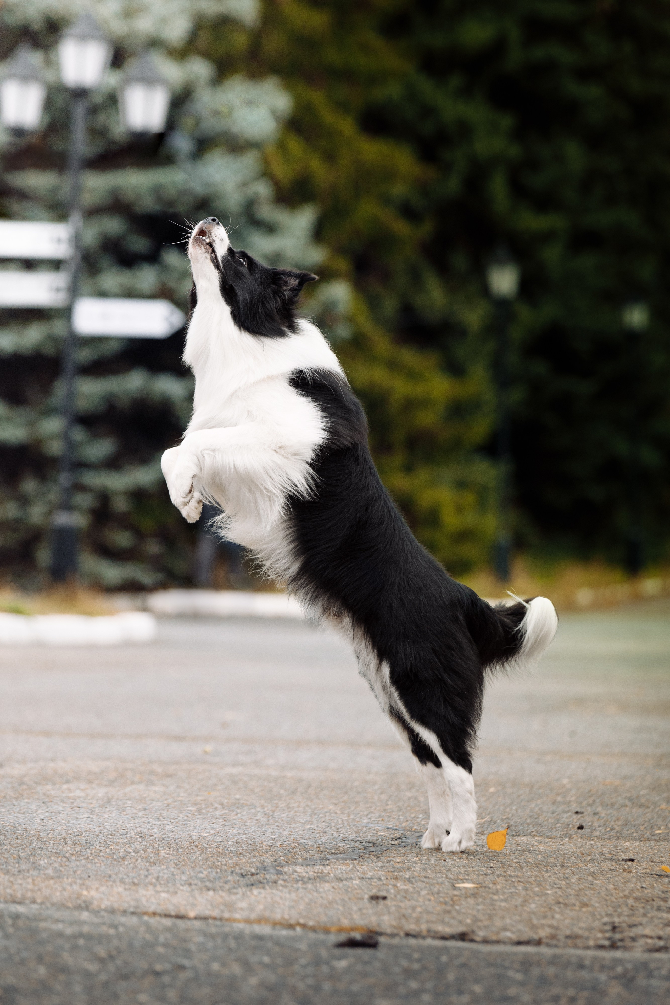 Казань. О нас