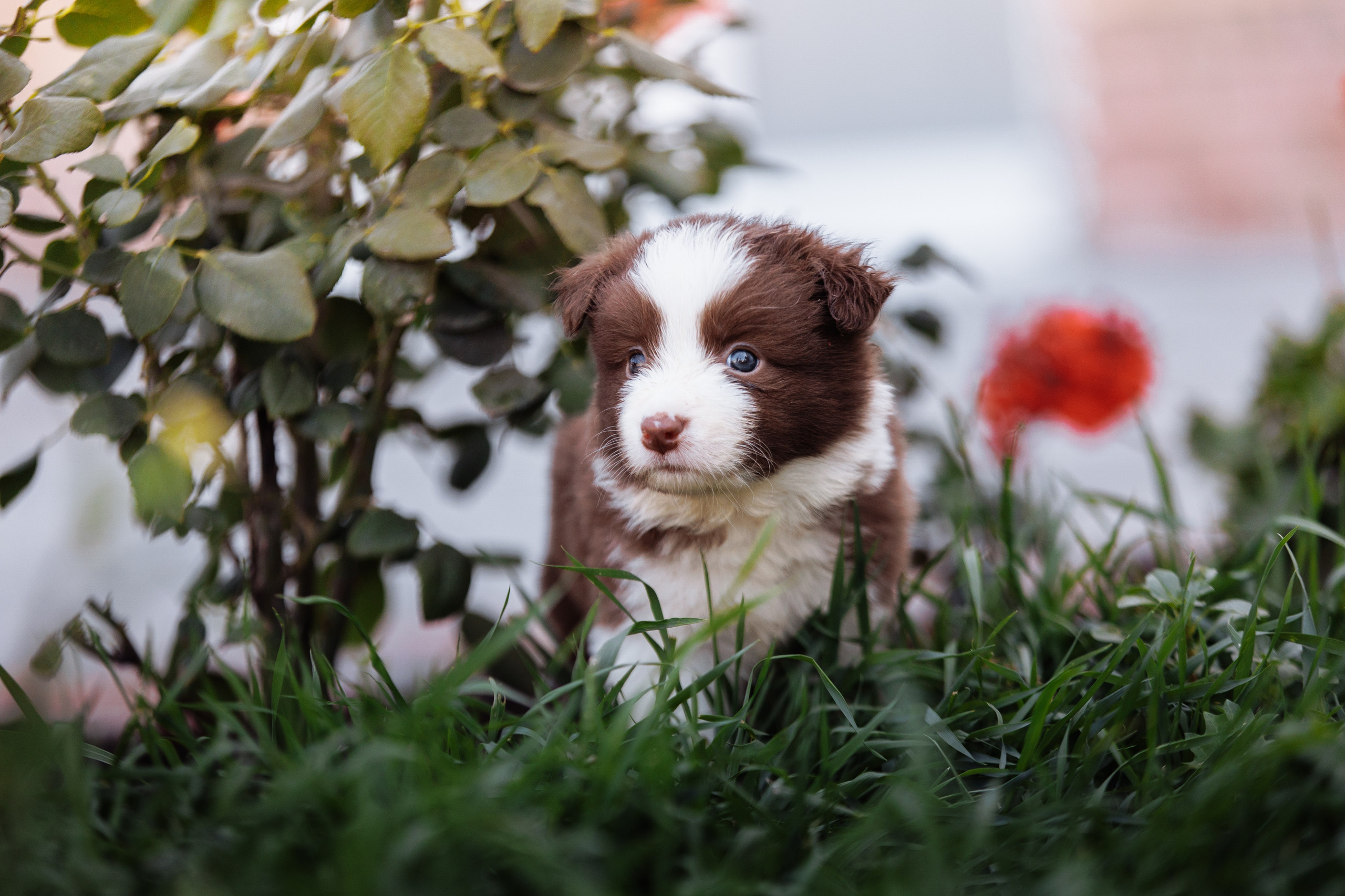 МММ — маленькое мягкое милое. О нас