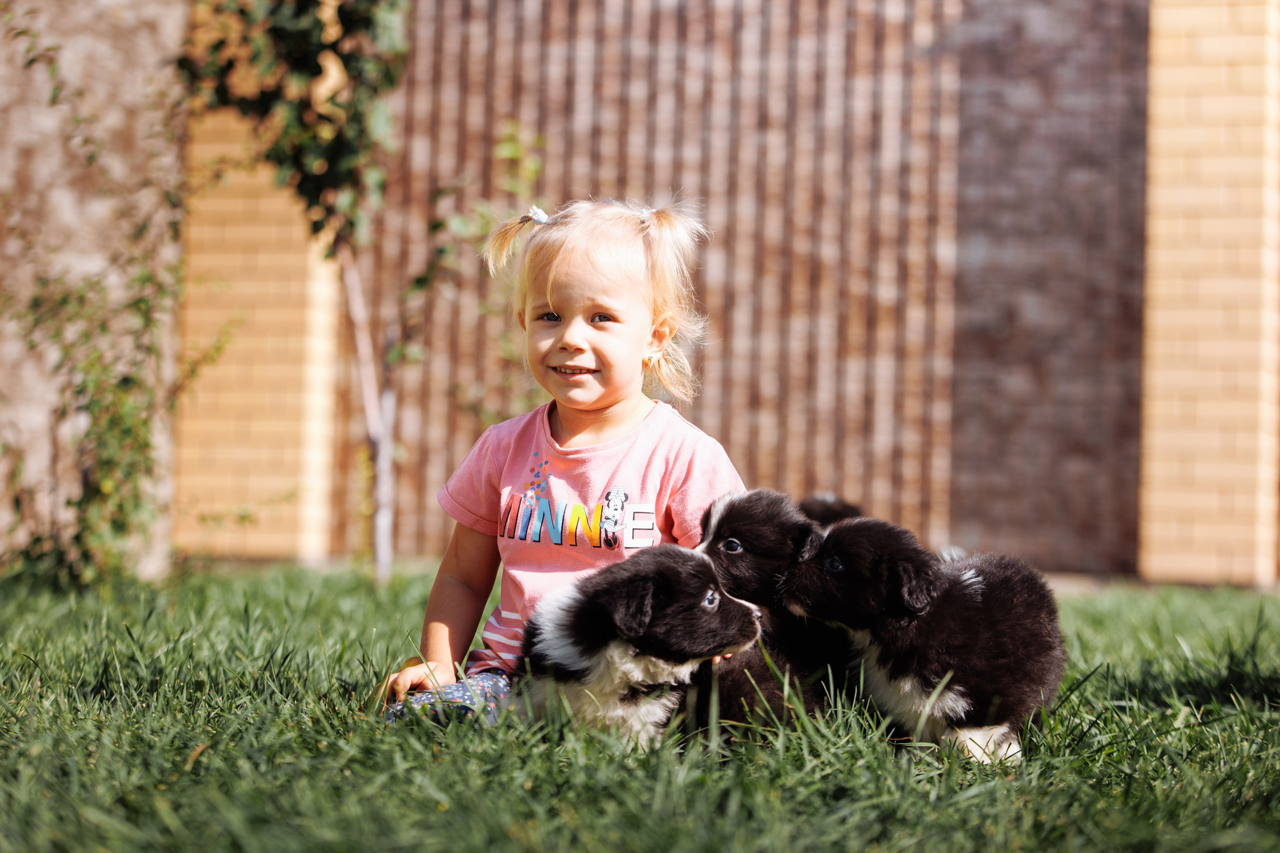 МММ — маленькое мягкое милое. О нас