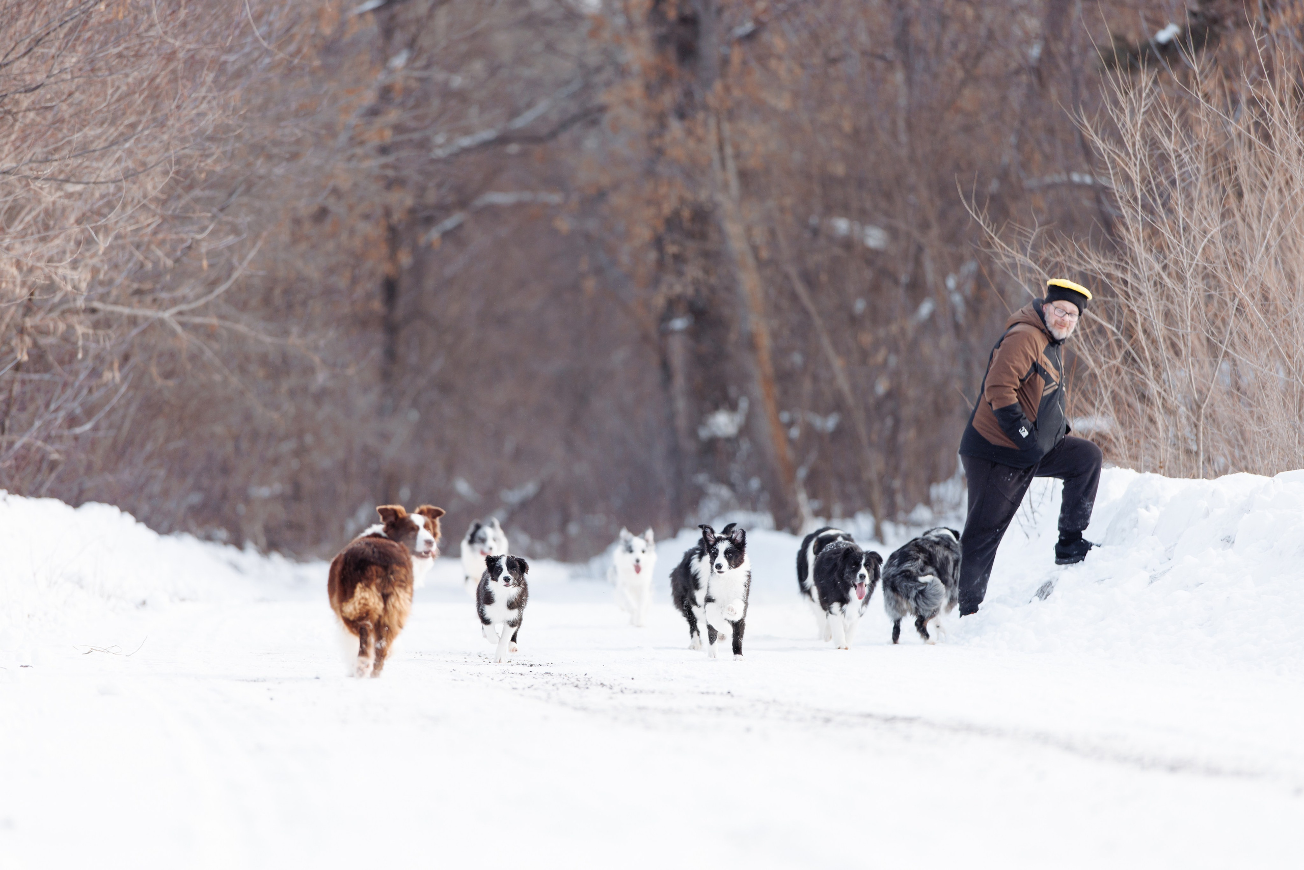 Яркий январь. О нас