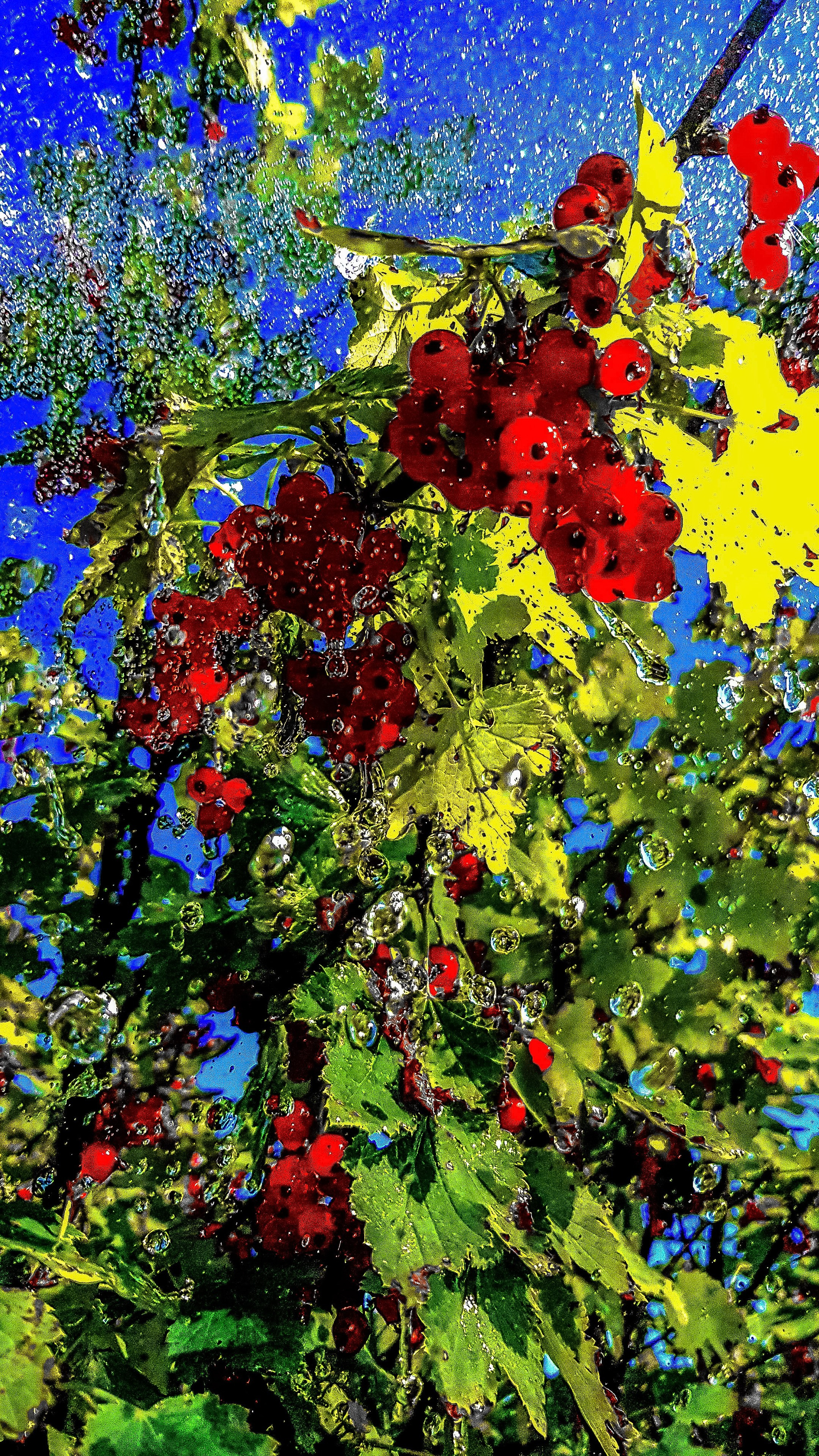 Пейзаж и городские съёмки. Семейный, уличный и пейзажный фотограф в Москве Никифоров Виктор