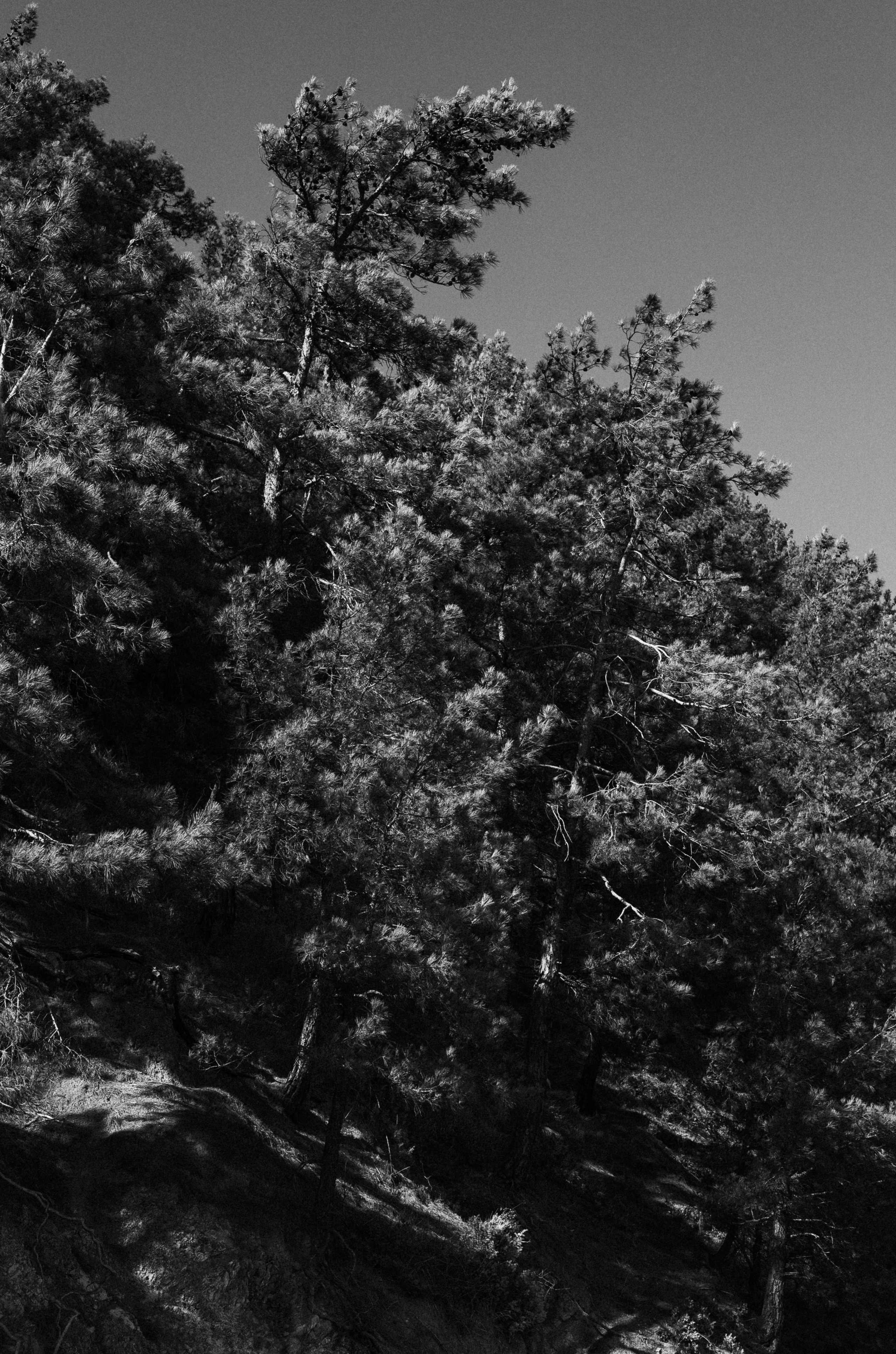 Поля. Семейный и свадебный фотограф в Краснодаре Елизавета Замаева