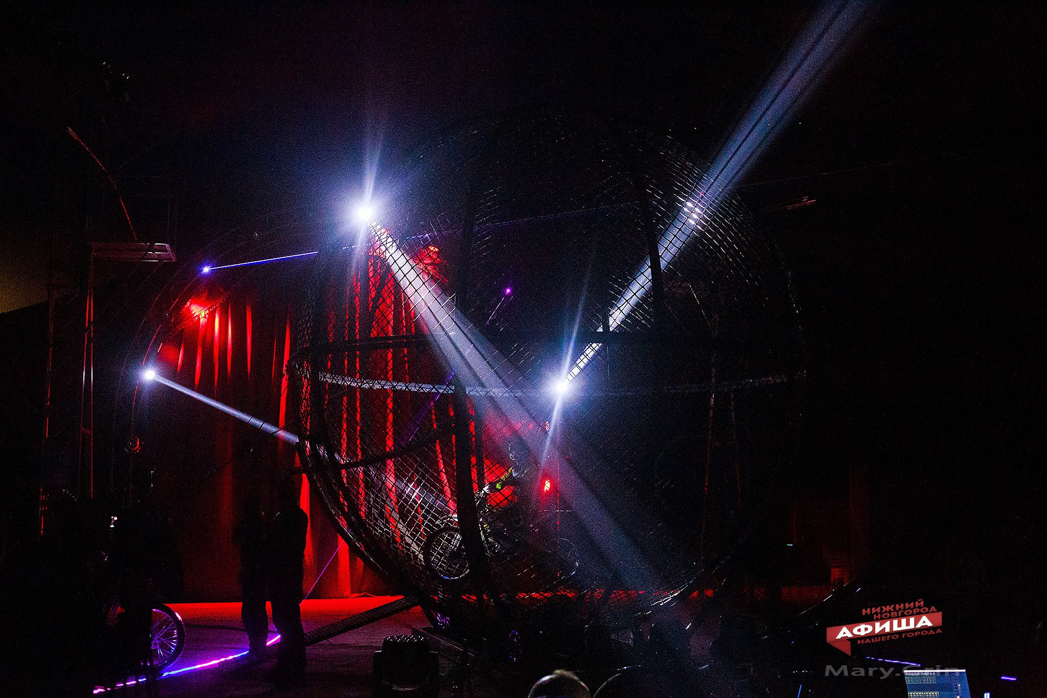 Пресс-конференция цирка Демидовых. Детский и семейный фотограф, фотограф мероприятий Нижний Новгород