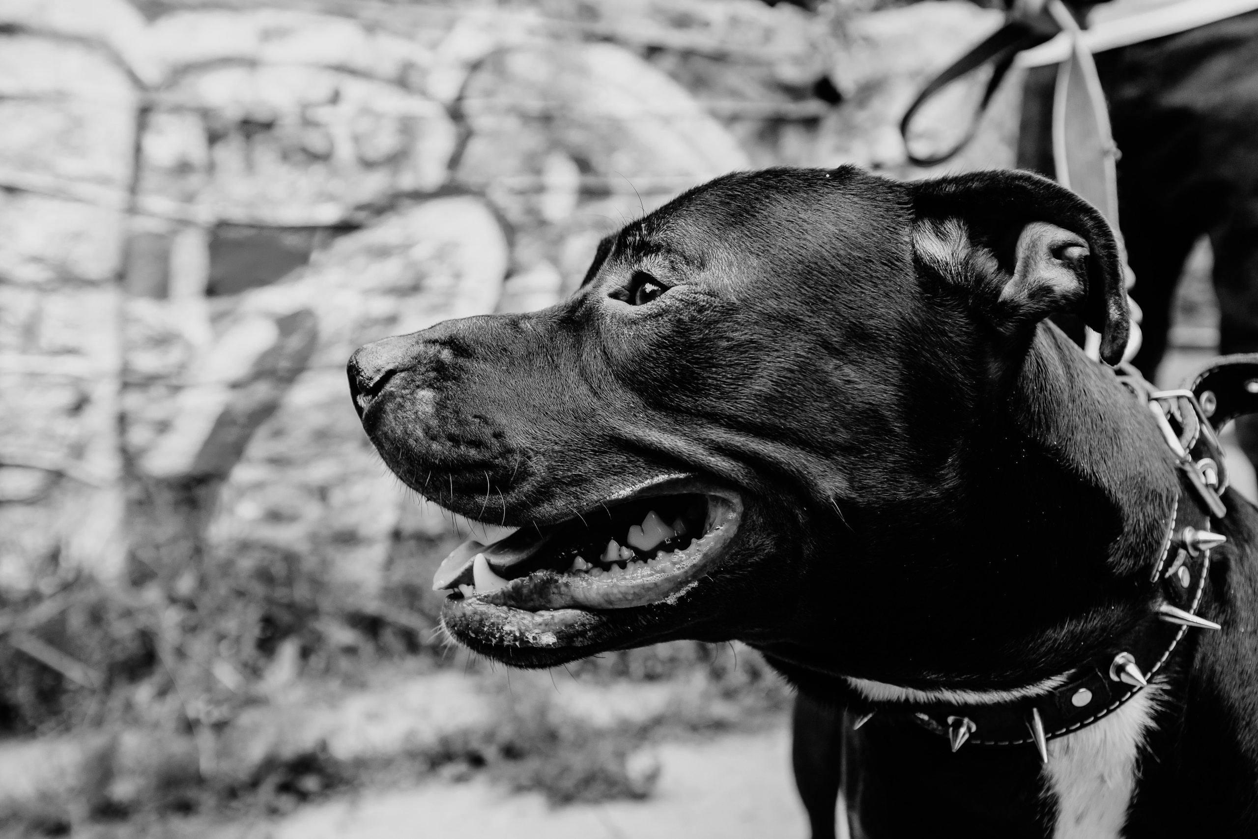 Шах. Репортажный и портретный фотограф в Екатеринбурге Гизатуллин Марат