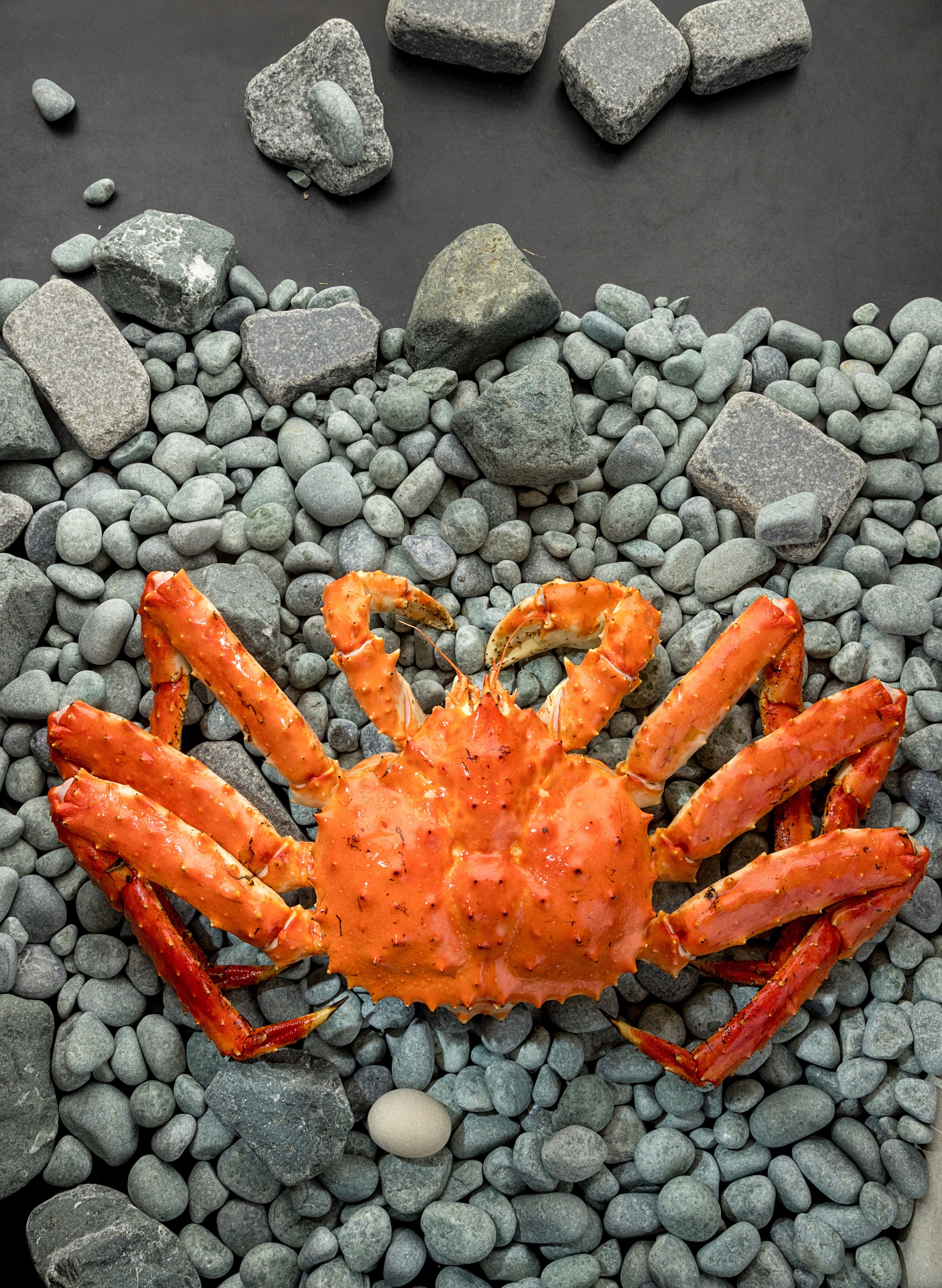 Сырое в декоре. Фуд-фотограф Гумеров Ильдар