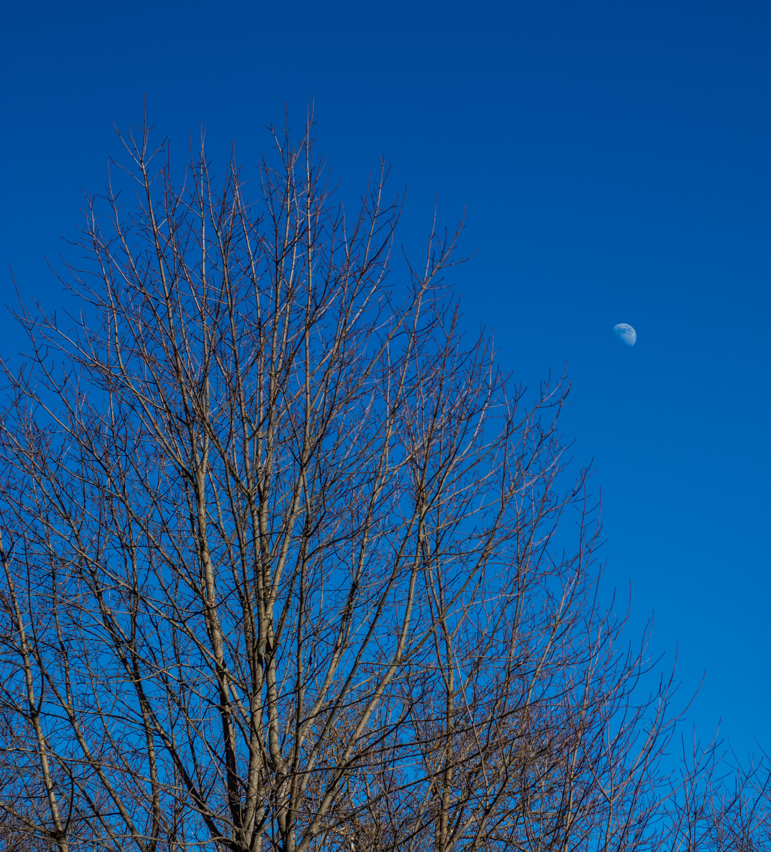 Фотосессия в Усадьбе Архангельское Красногорск мужской деловой портрет