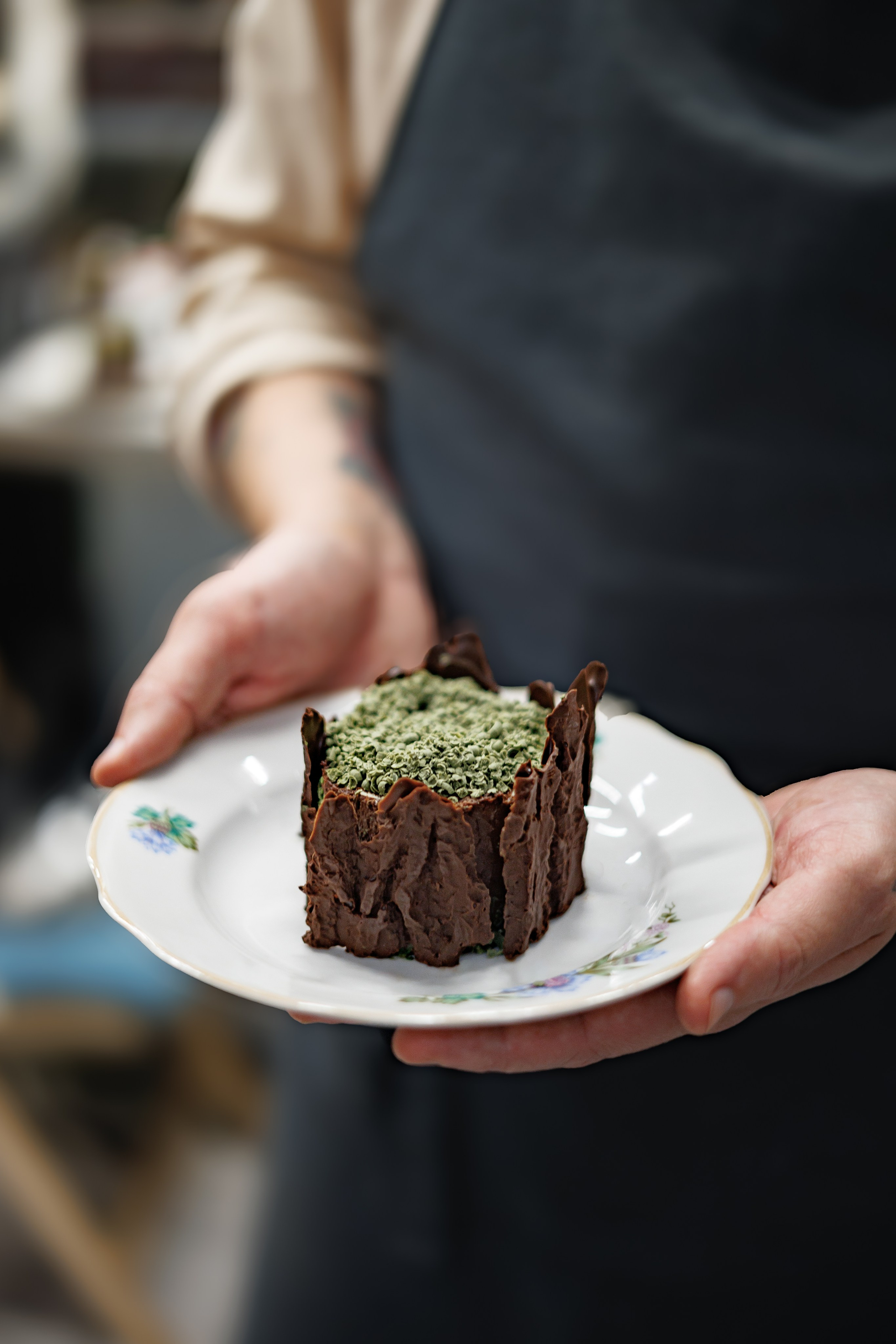 Гастроужин Поселенцы в гостях у Самозванцев