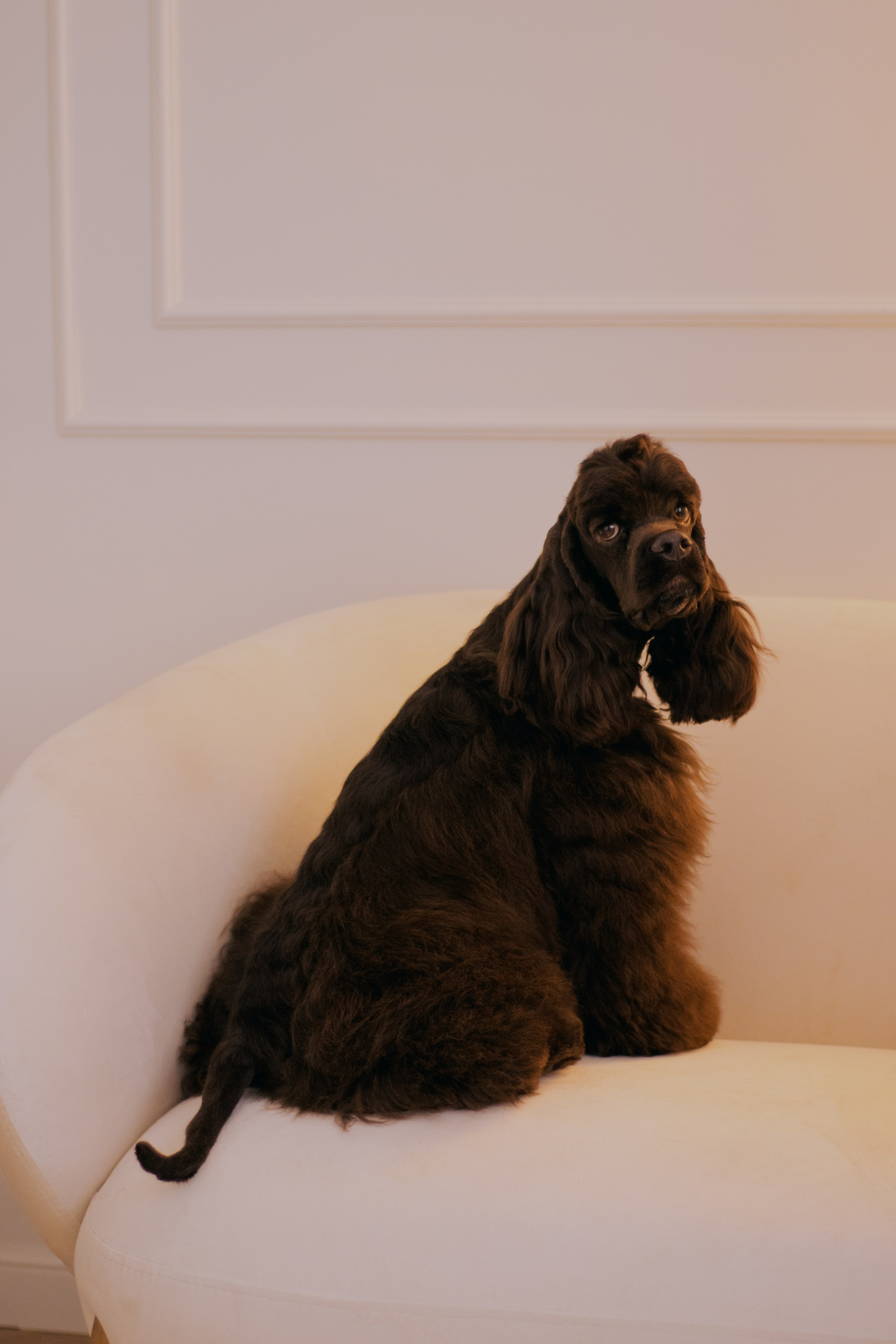 Лера и Анри. Фотограф в Тюмени Лизавета Сапицкая