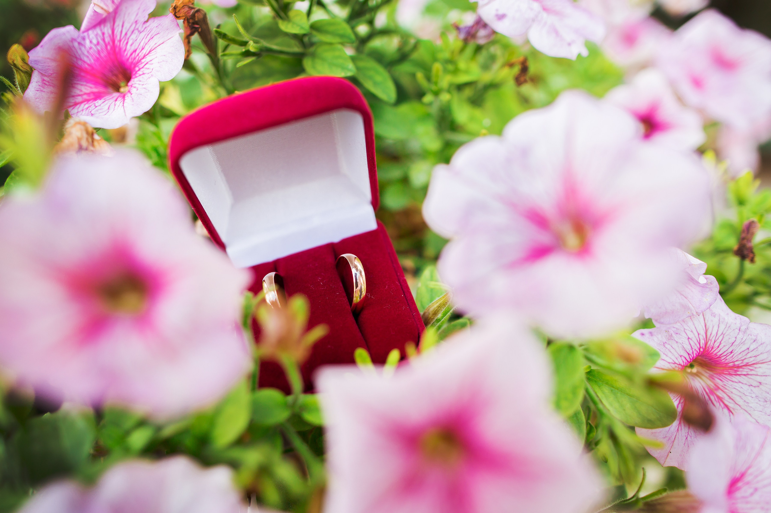 Сергей и Оля. Репортажный, семейный и детский фотограф в Пензе и Заречном Арина Ермилова. Картины барельеф на заказ