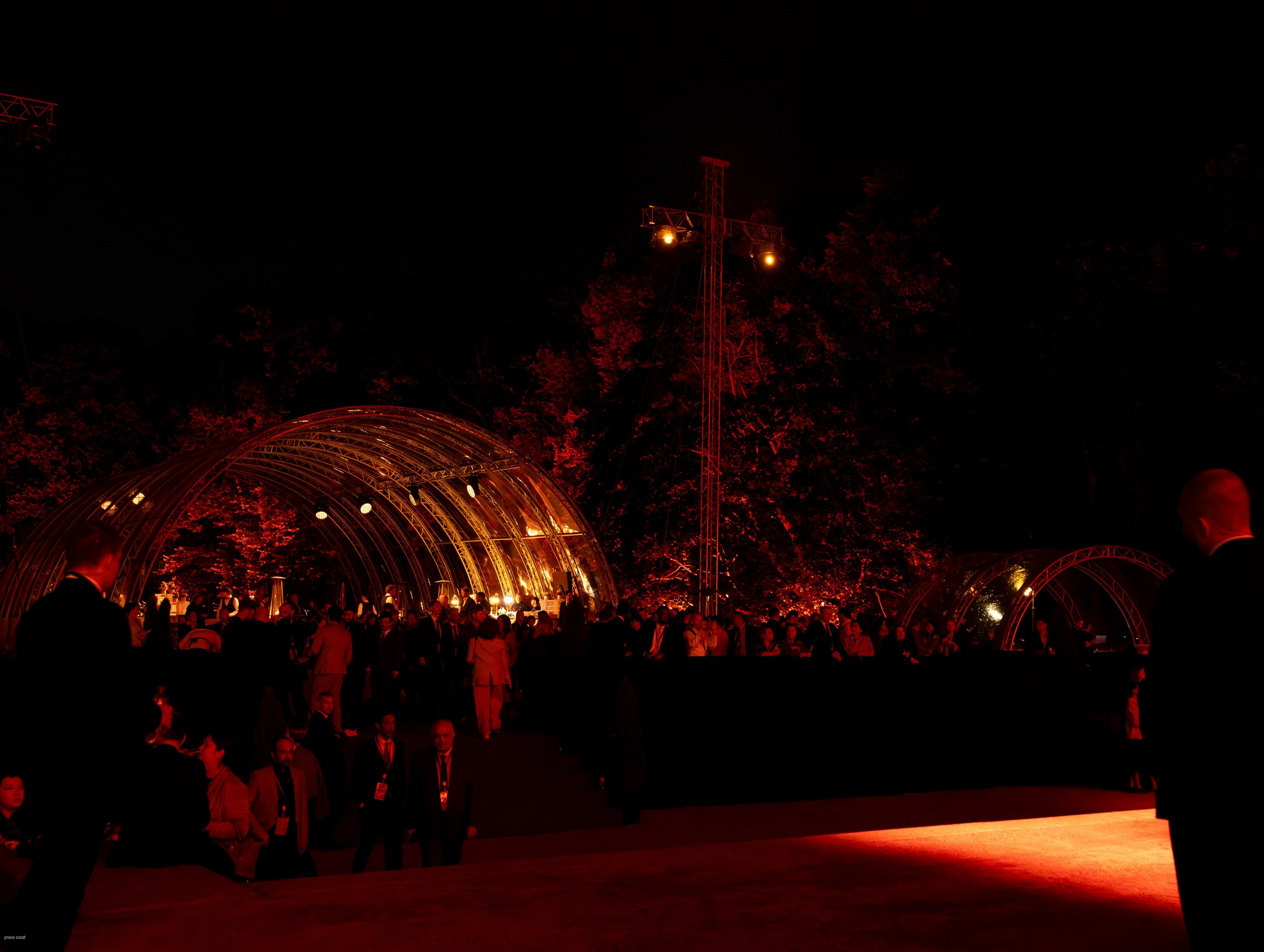 Прием Голиковой. Главная