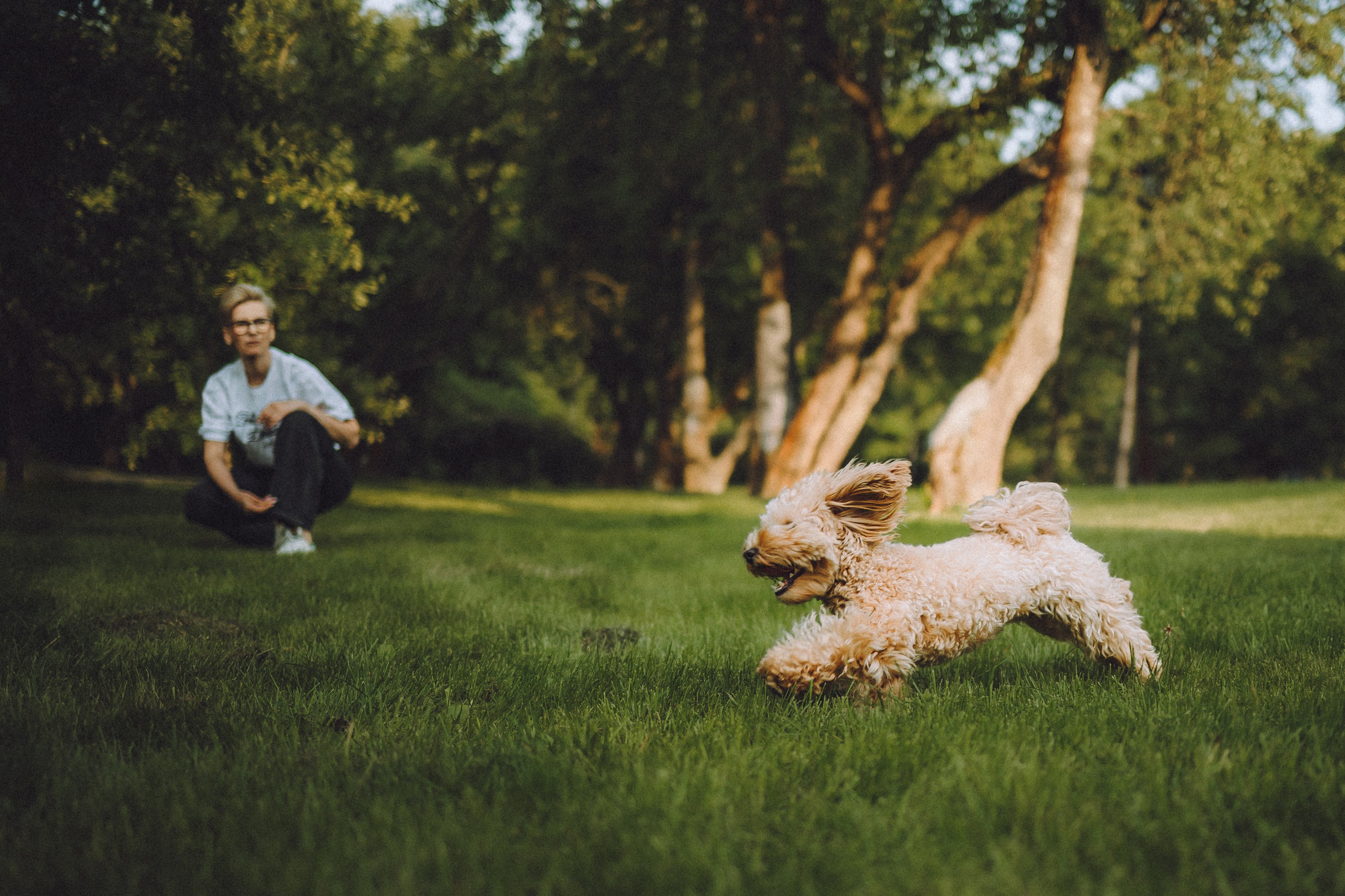 Фред и его семья