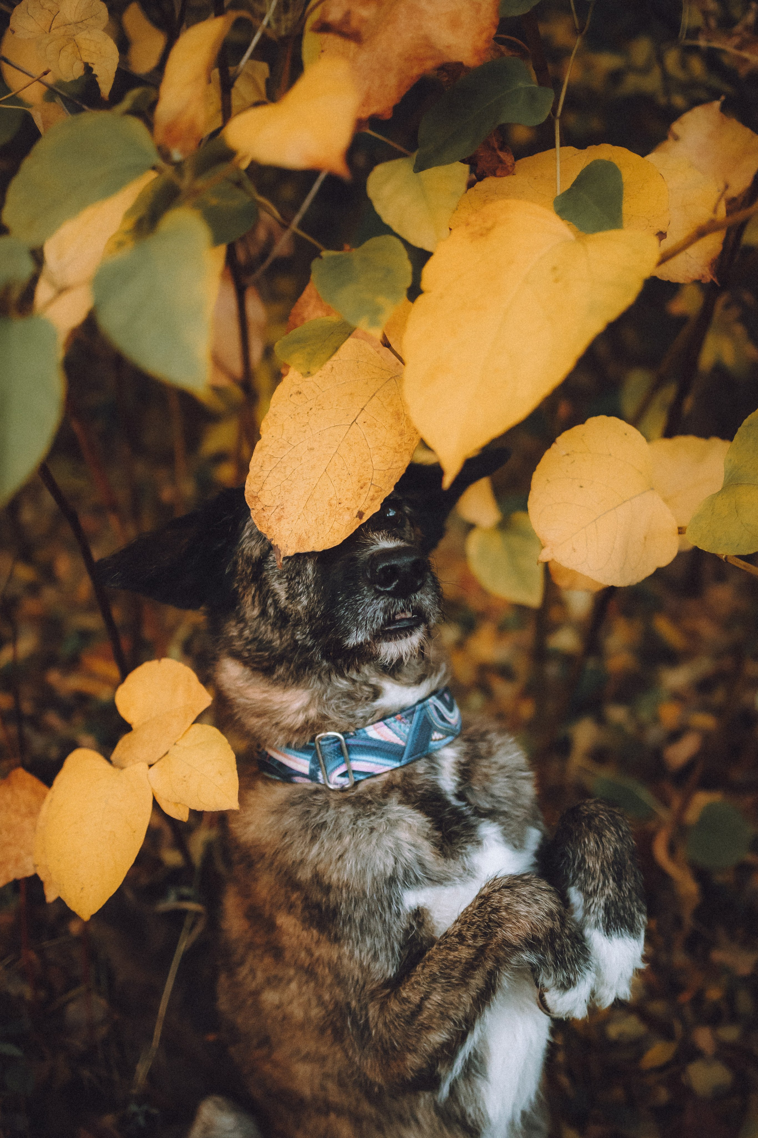 Рик, Джек и их семья