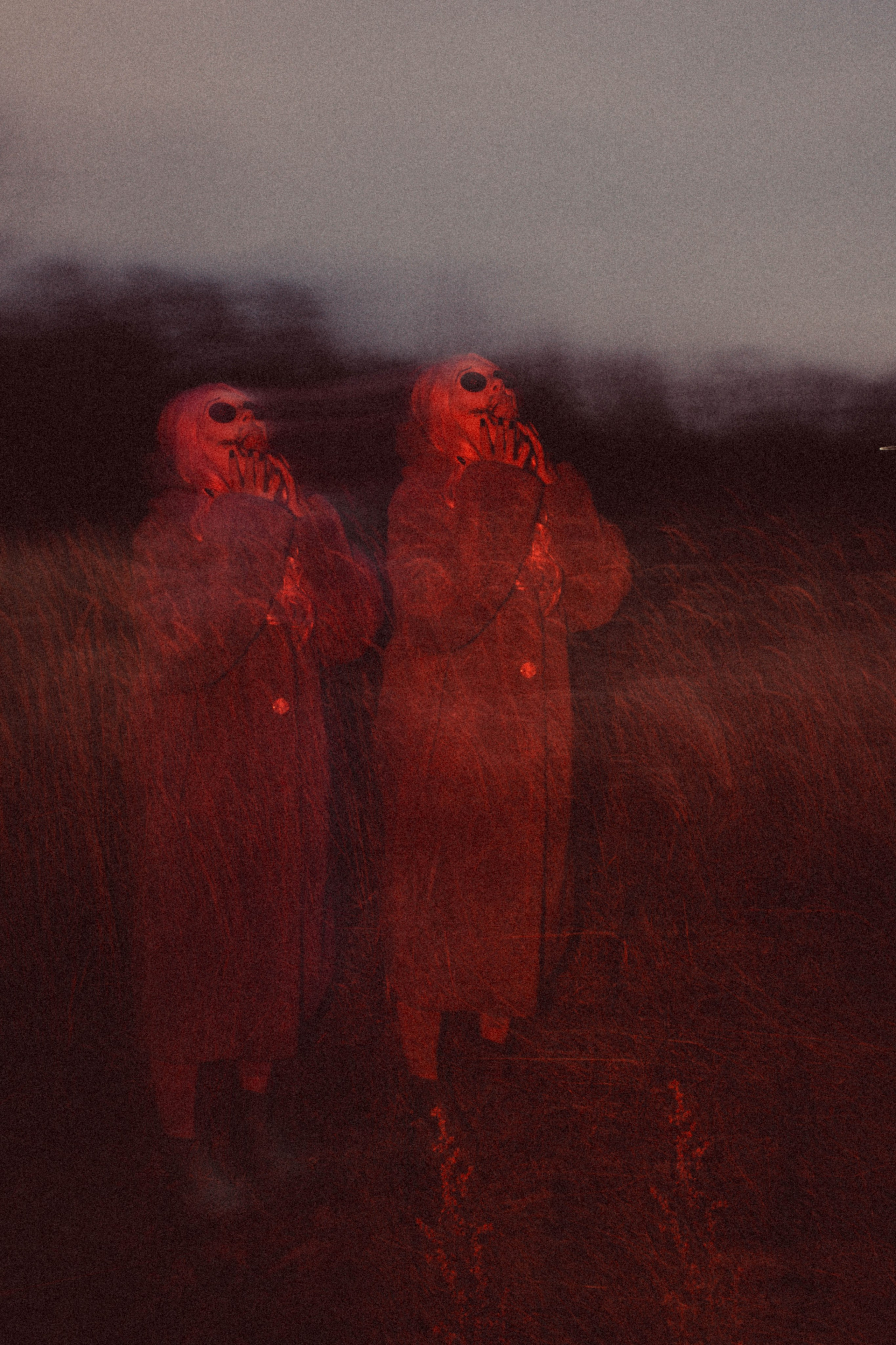 Осенний хоррор. Darinishna Фэнтези-фотограф Хабаровск