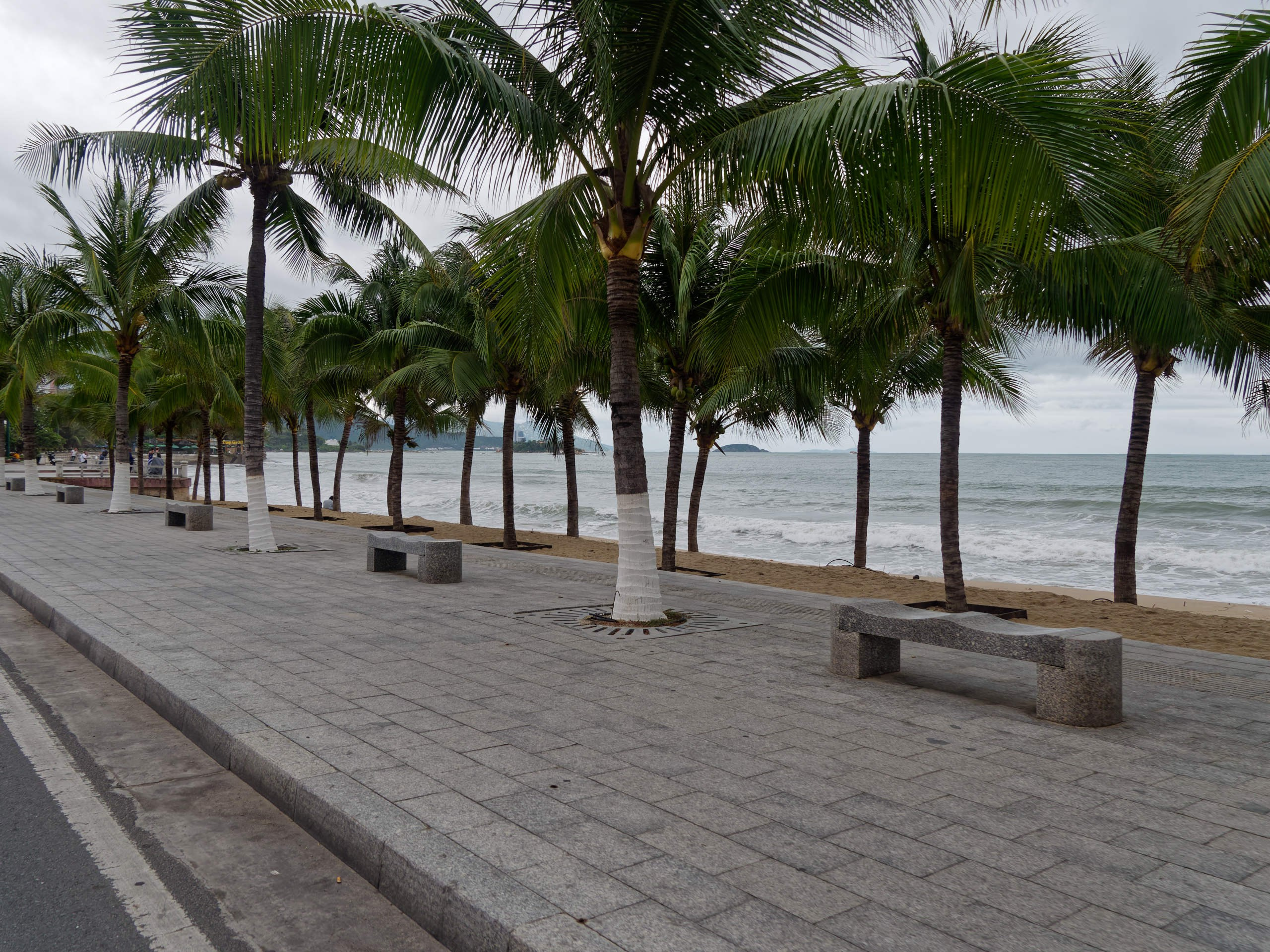 Нячанг 2025 (4). Избранные фотографии