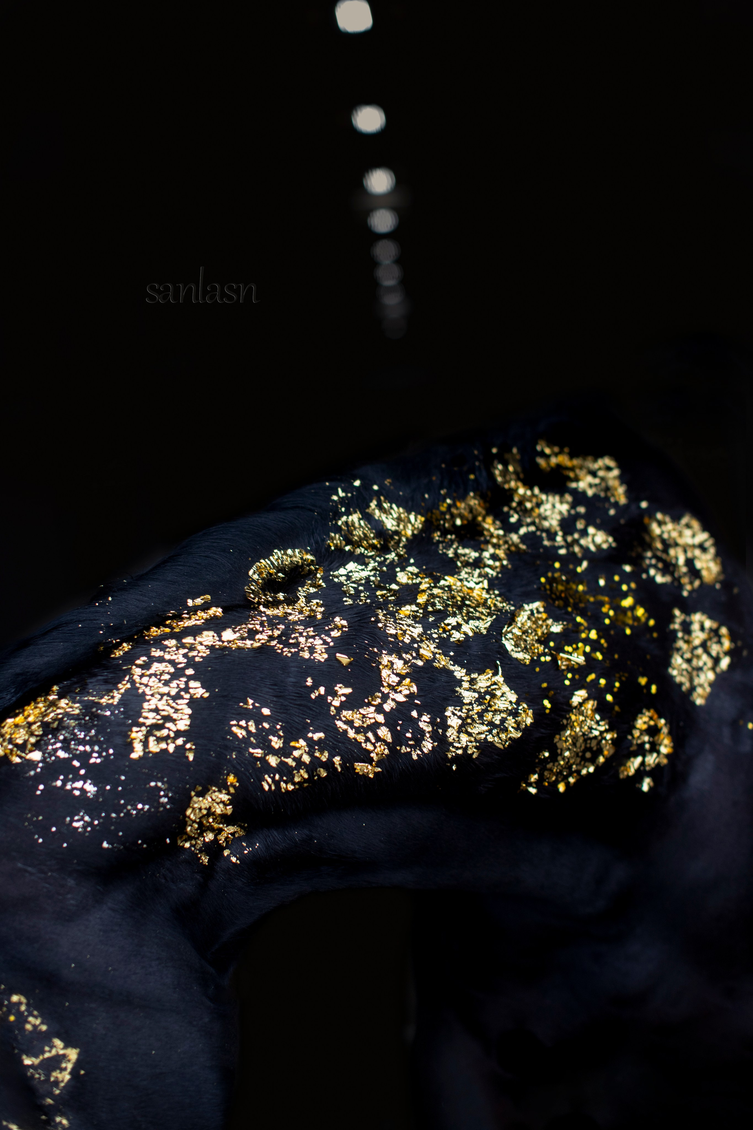 Животные. Фотограф в Москве и в Московской области Сандра