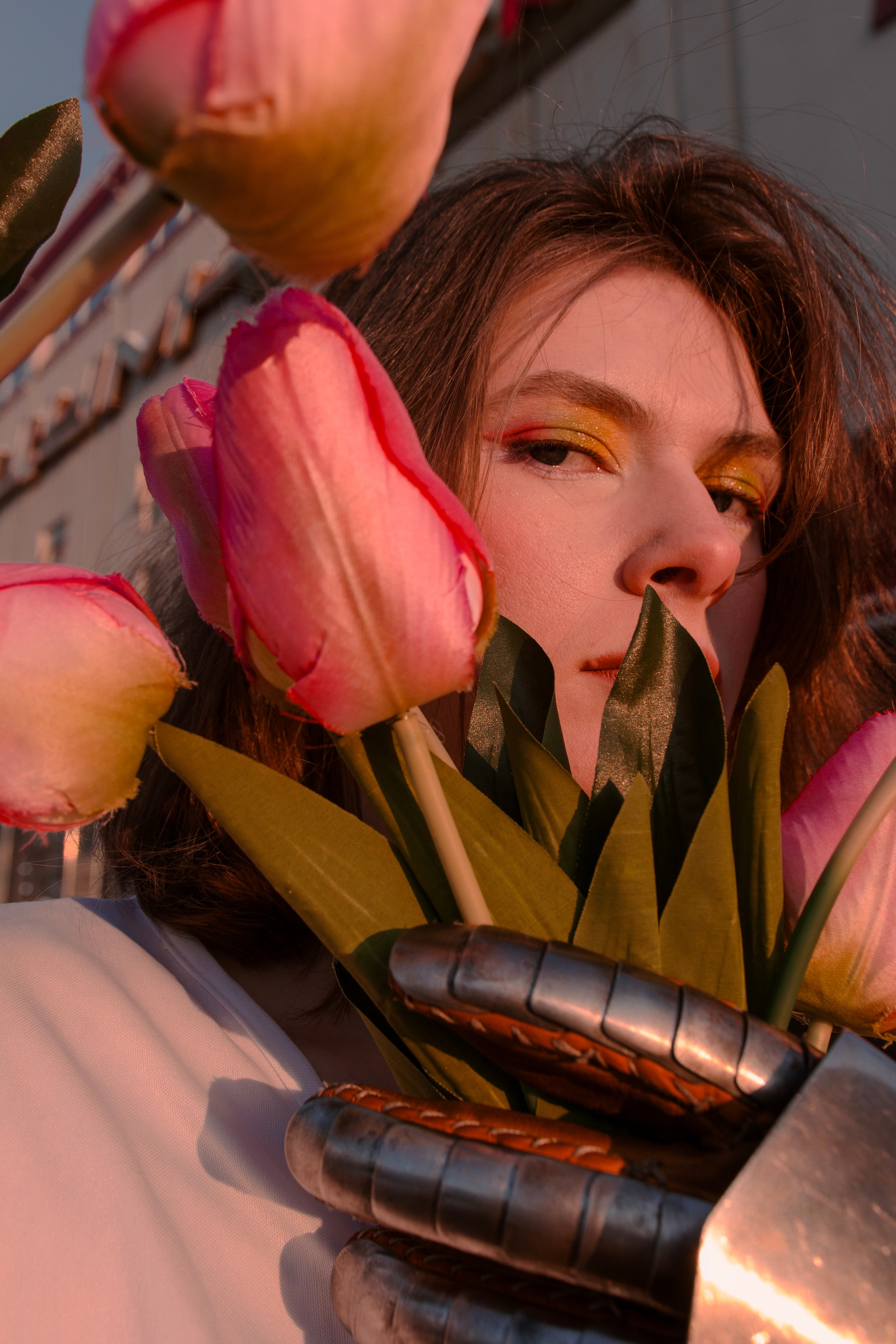 Хрупкий рыцарь