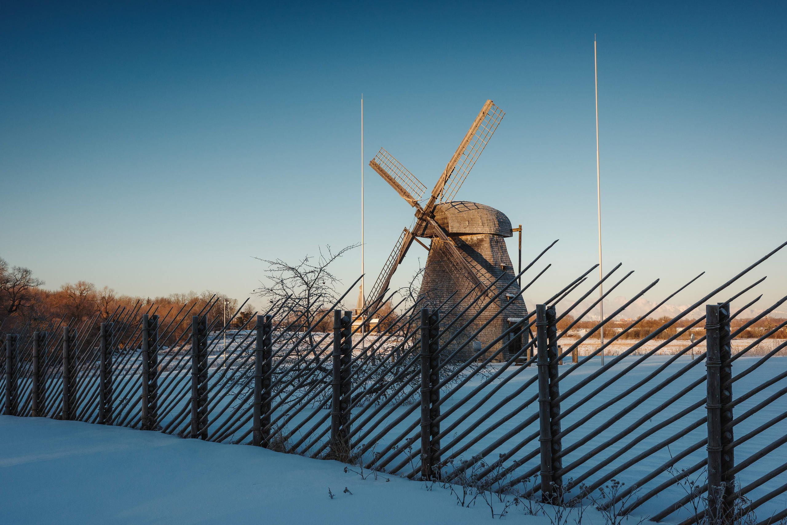 2024.01. Фотограф Алексей Алексеев