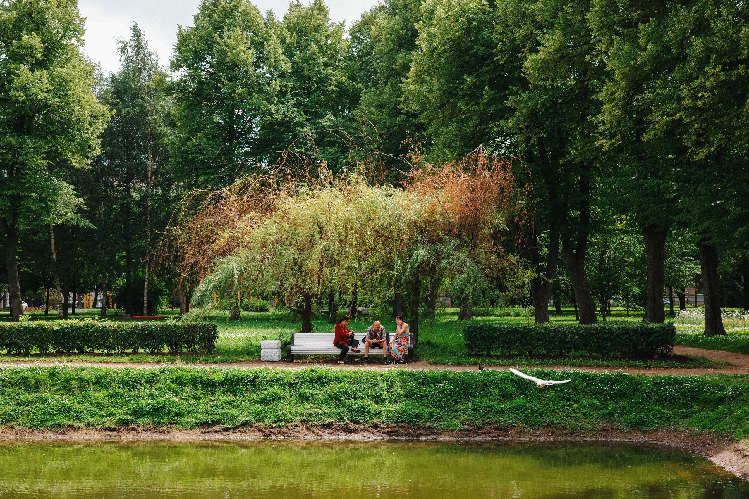 2024.06. Фотограф Алексей Алексеев