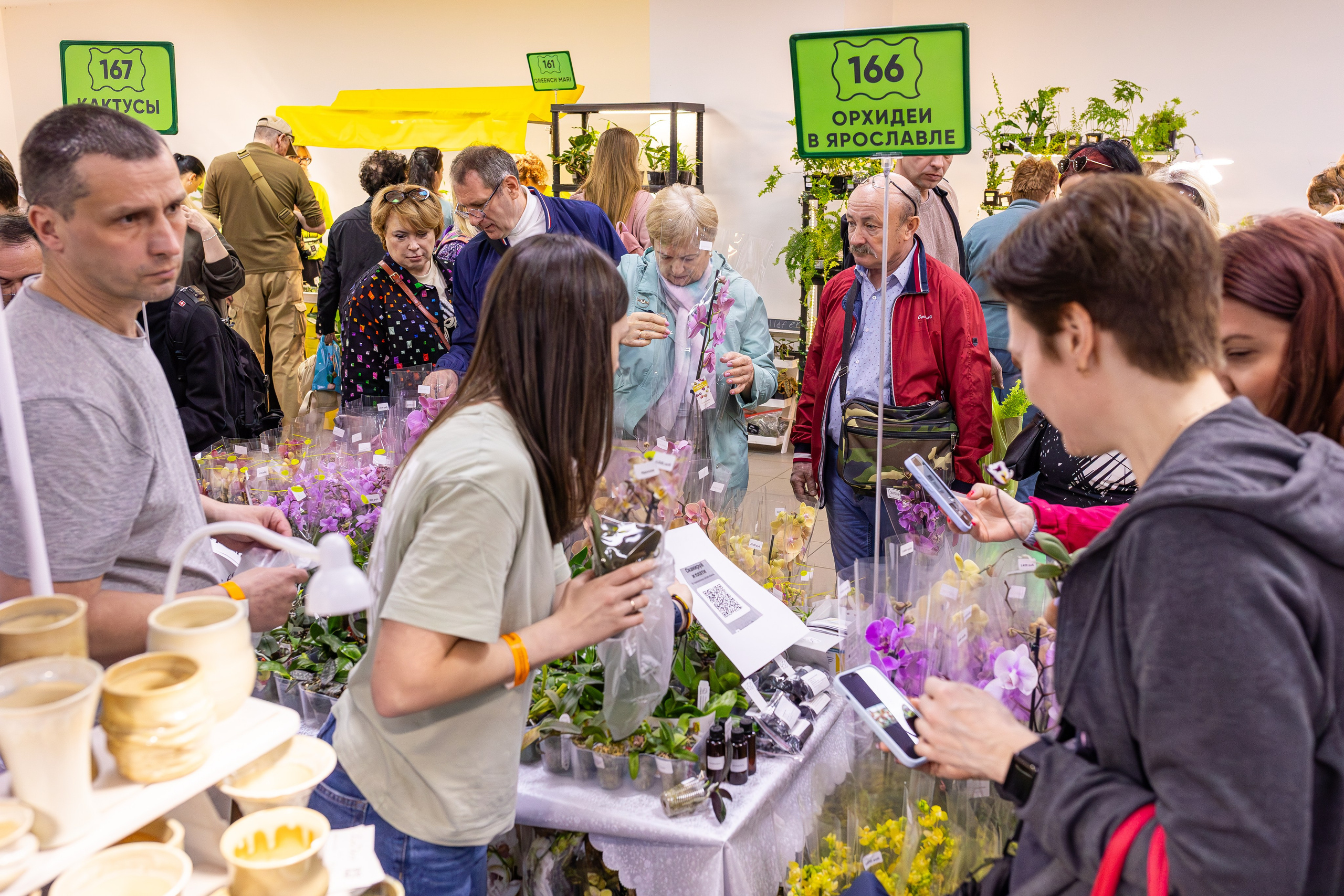 Орхидиум май 2025. Александра Куликова фотограф, Москва