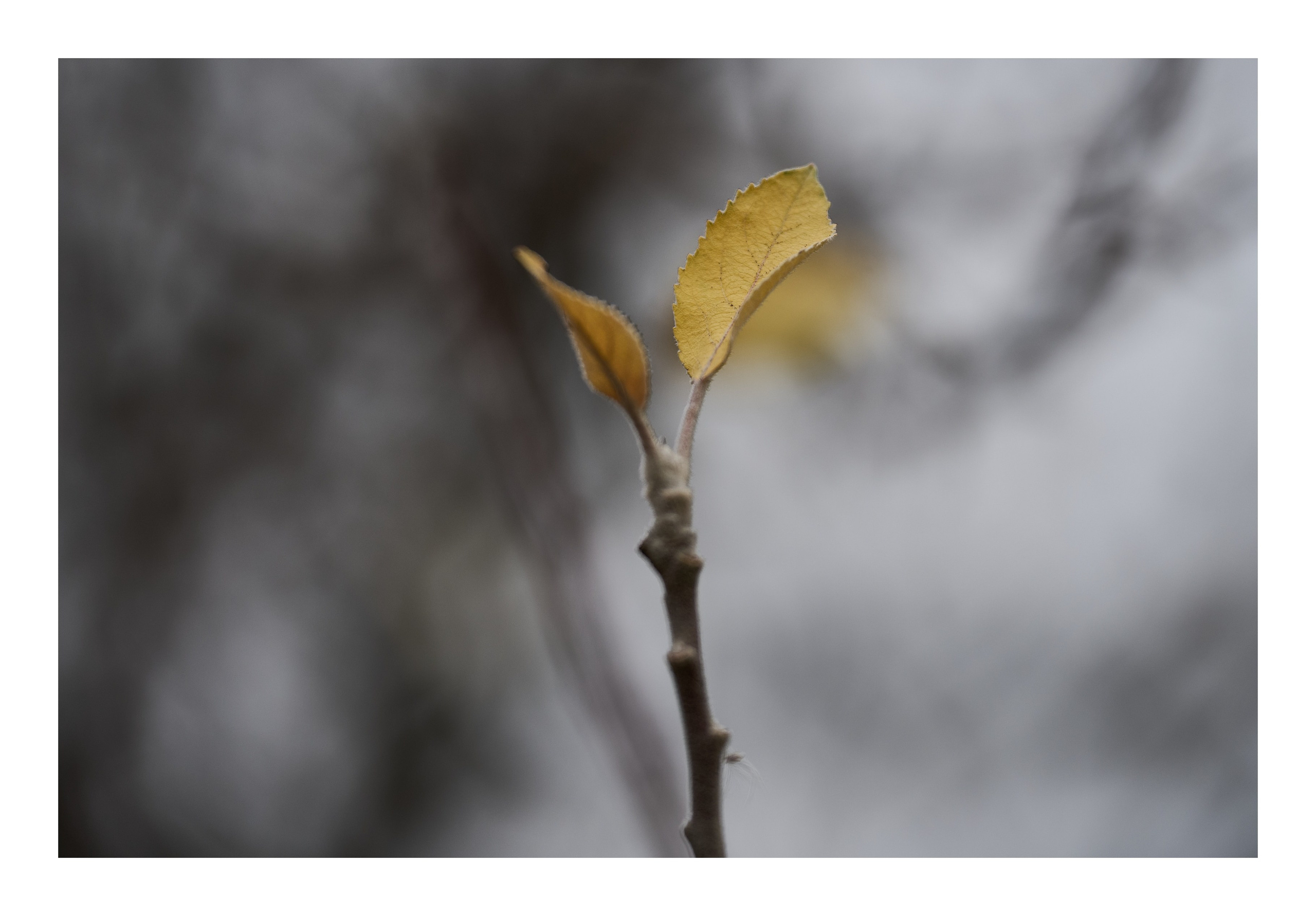 Фотопринты А3. Фотопроект «Территории»