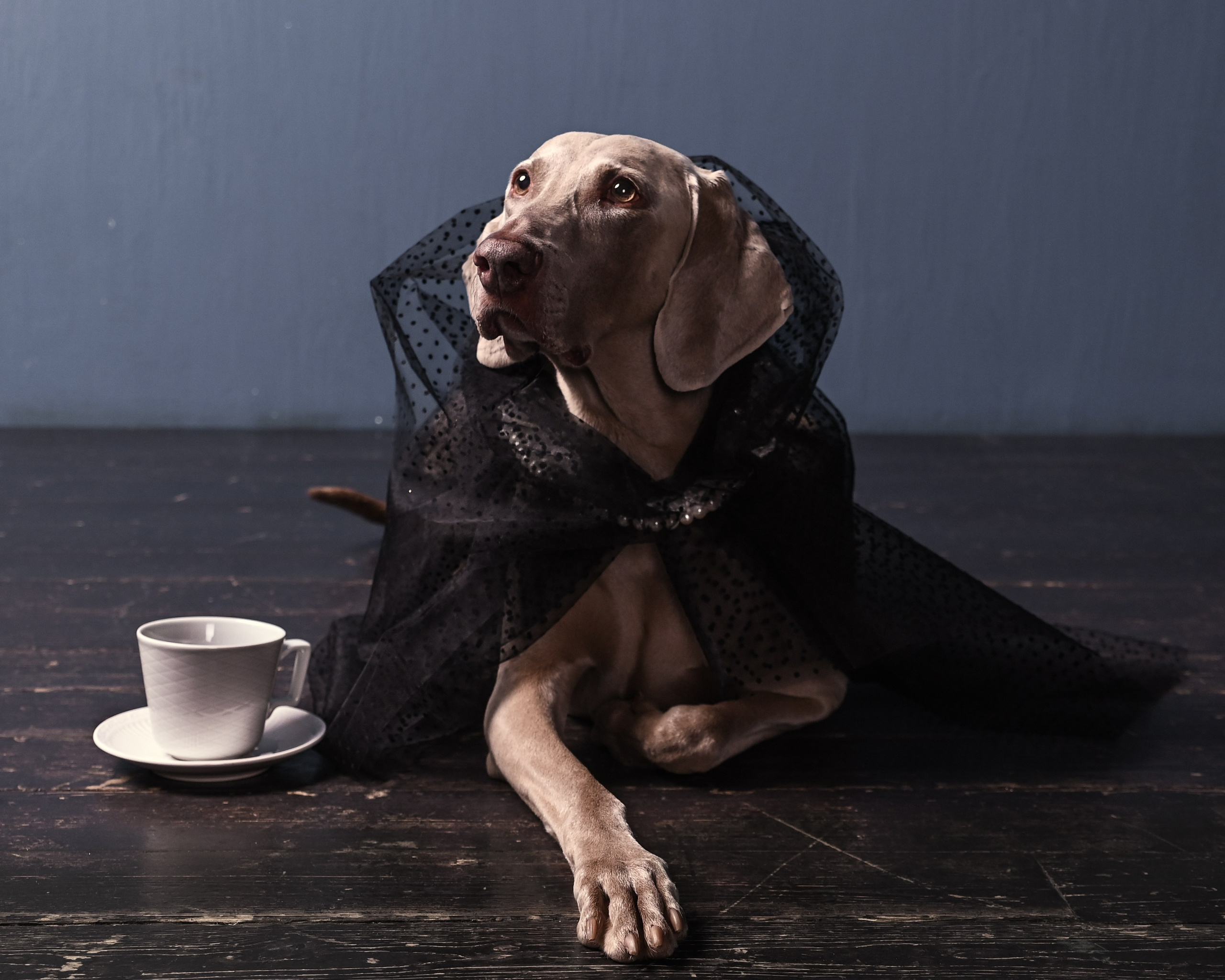 Публикации, работы с брендами и артистами. Миракова Катрин — портретный и семейный фотограф в Москве