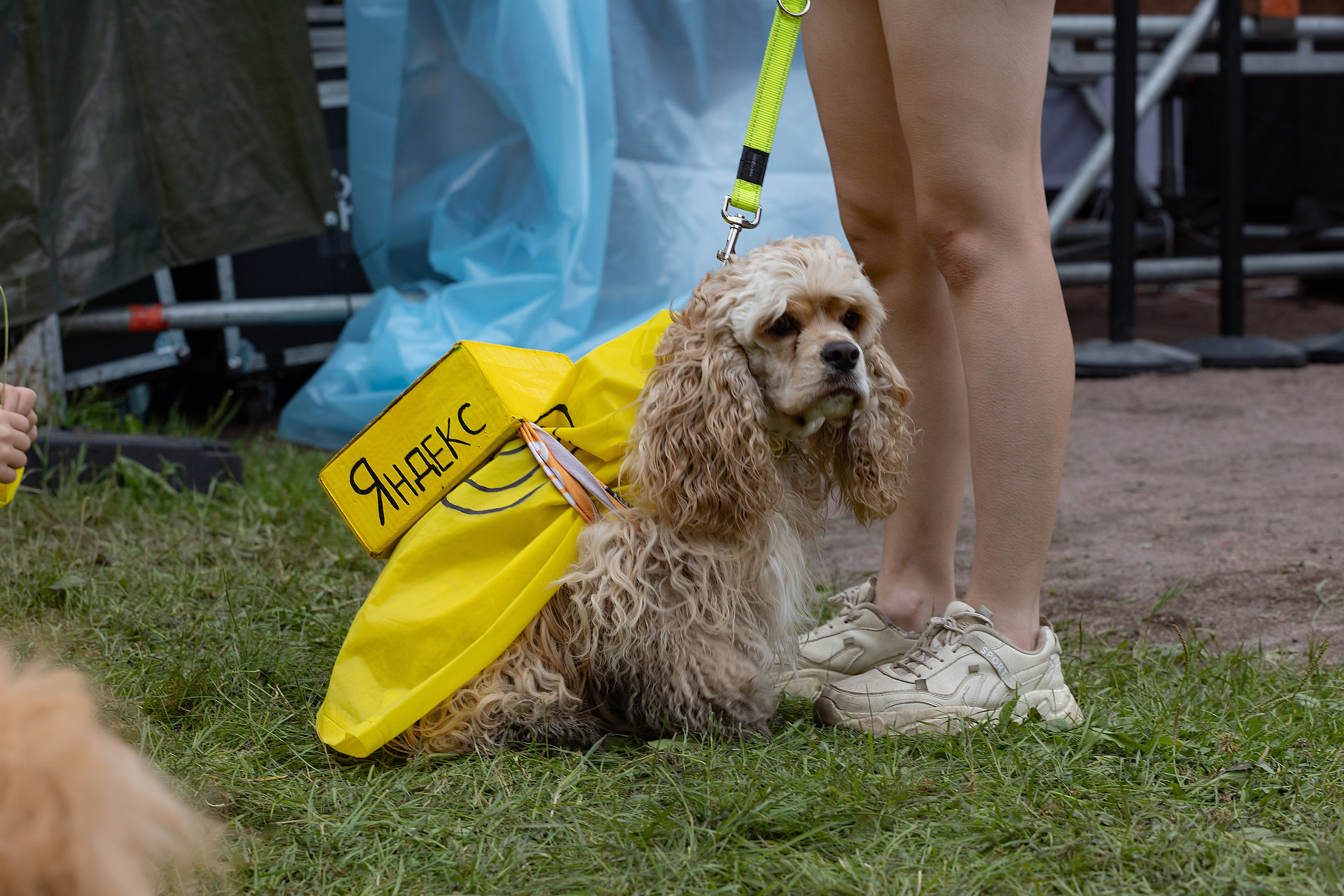 Petshop Days 2026. Репортажный фотограф