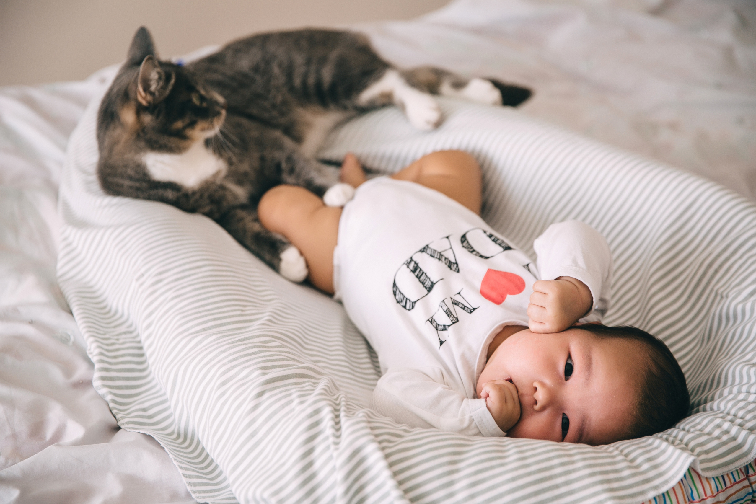 Домашняя фотосессия. Ирина Соломатина фотограф Чита