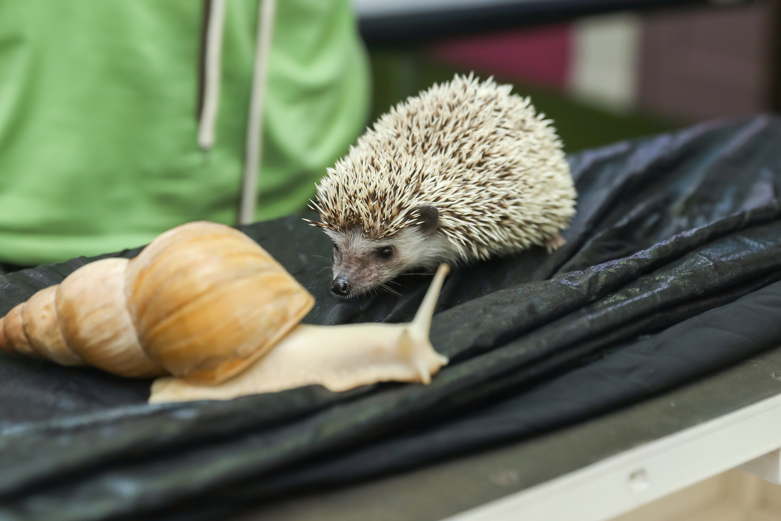 ДЕТСКИЕ МЕРОПРИЯТИЯ. Photographer Viktoriya Markushina «My world throug»