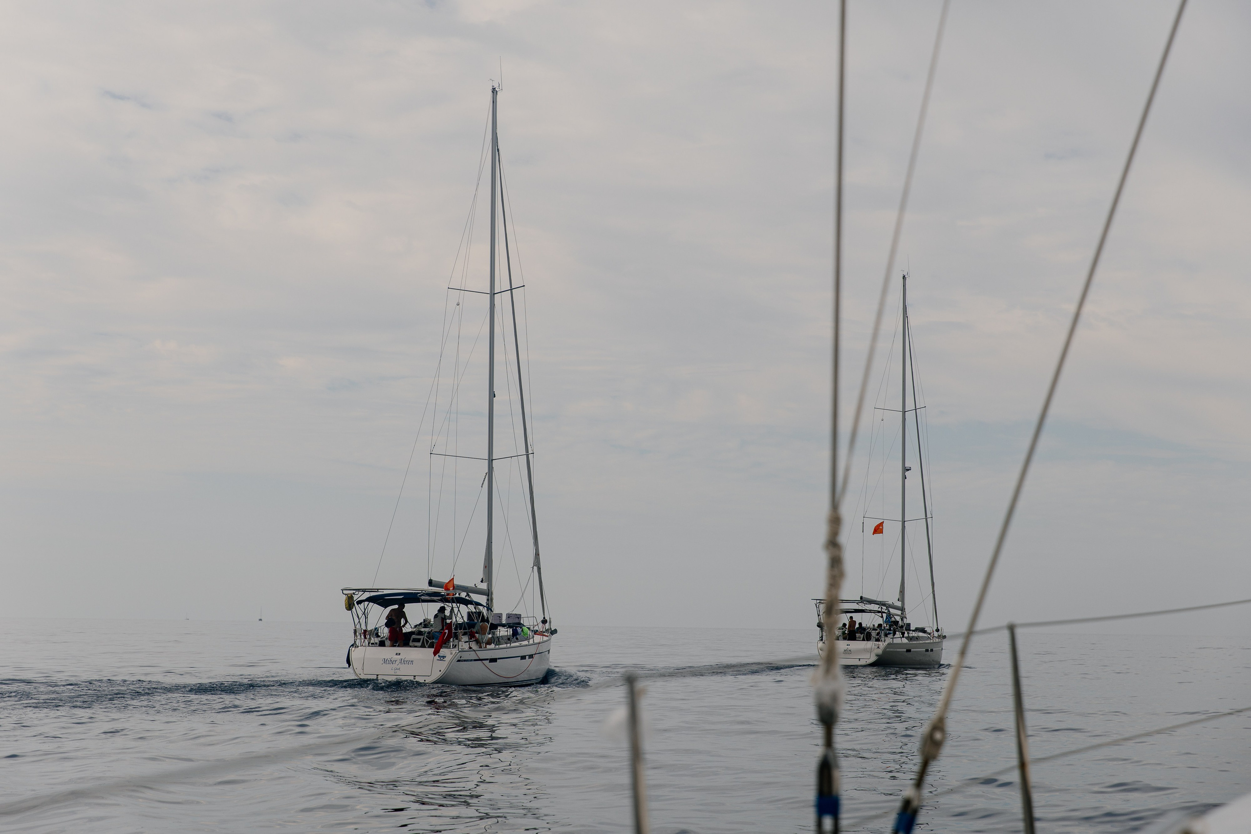 Фармрегата. Свадебный фотограф Москва Анна Шилова