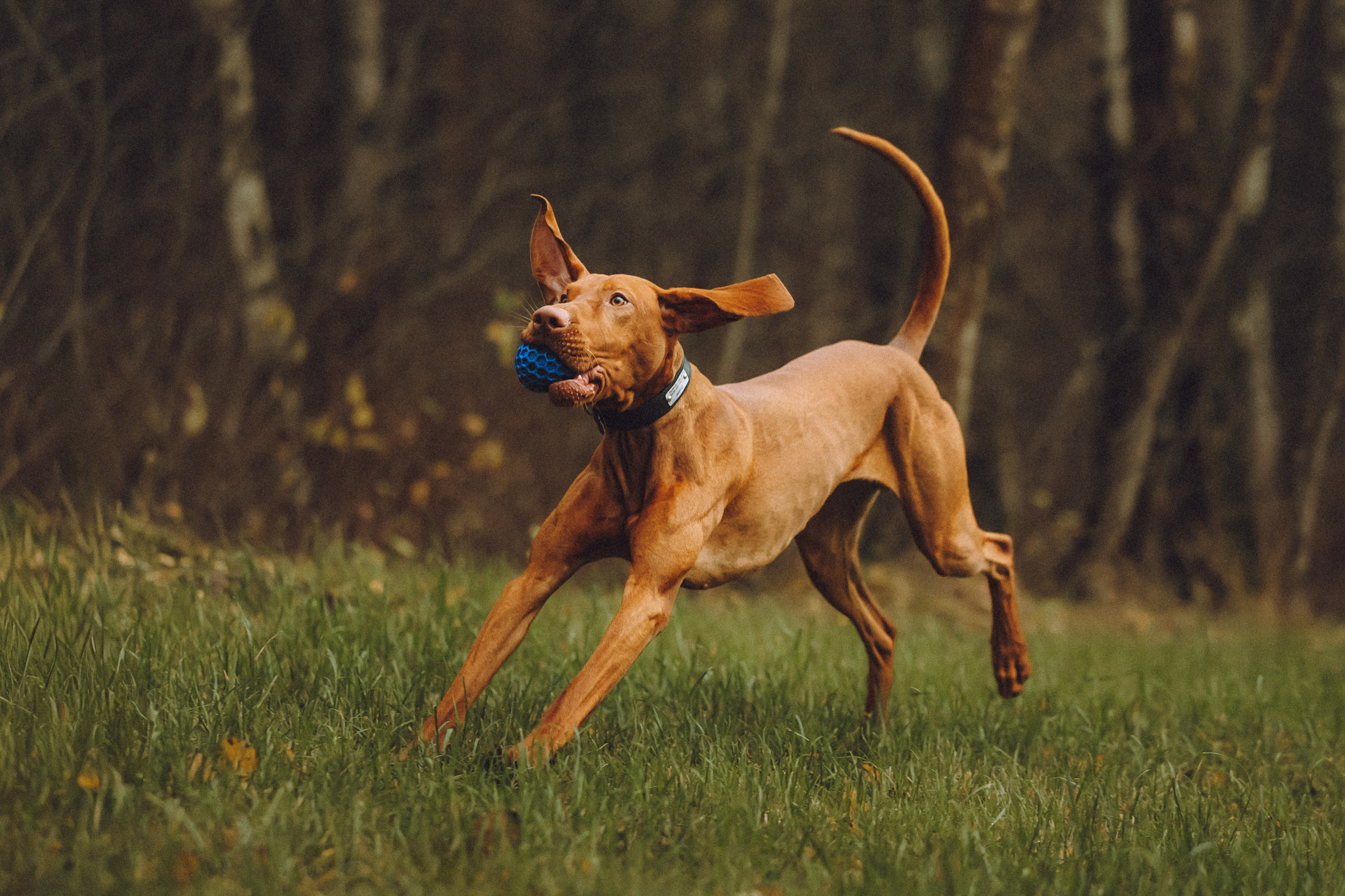 Дориан и его семья