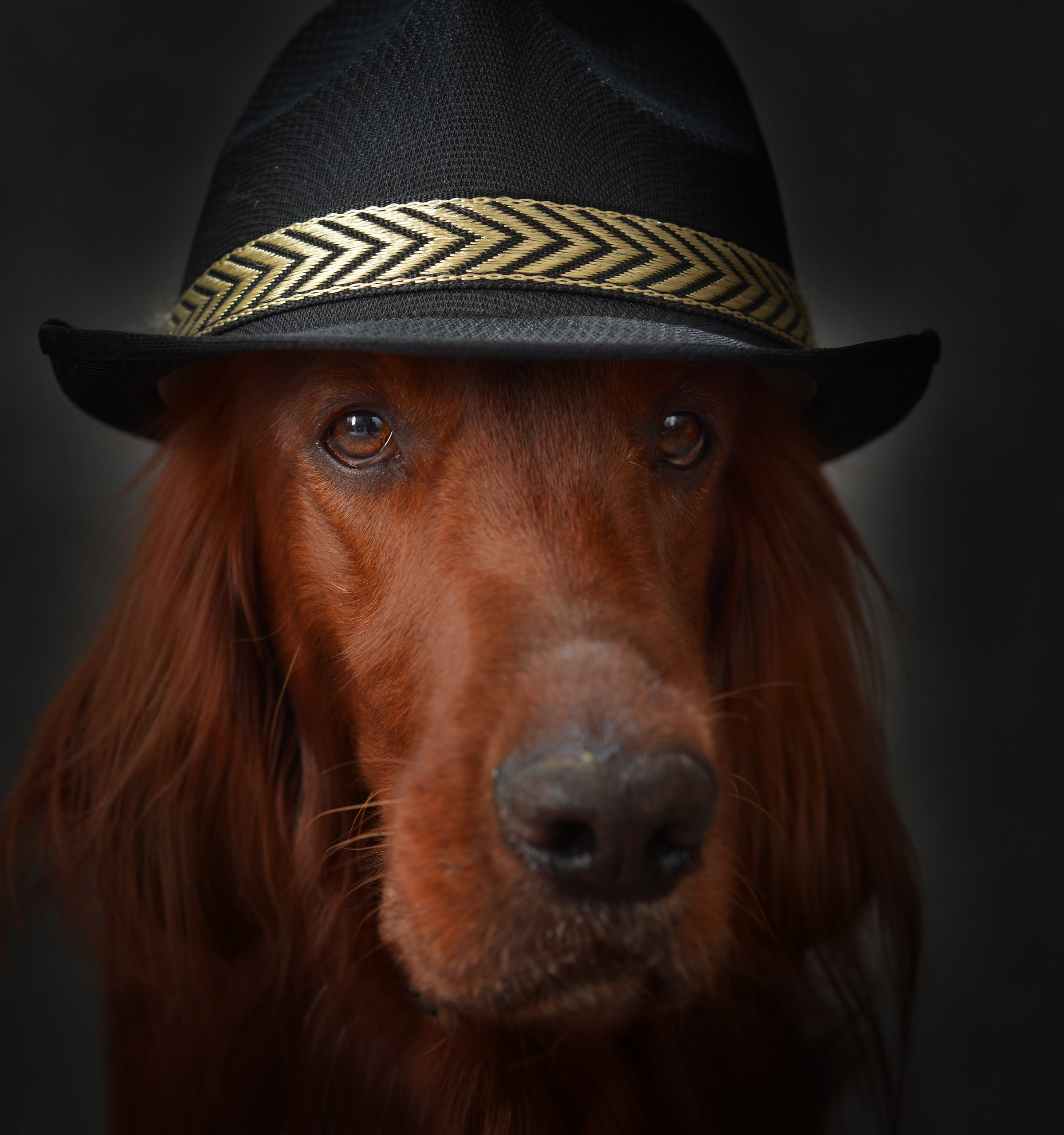 Фото для блога