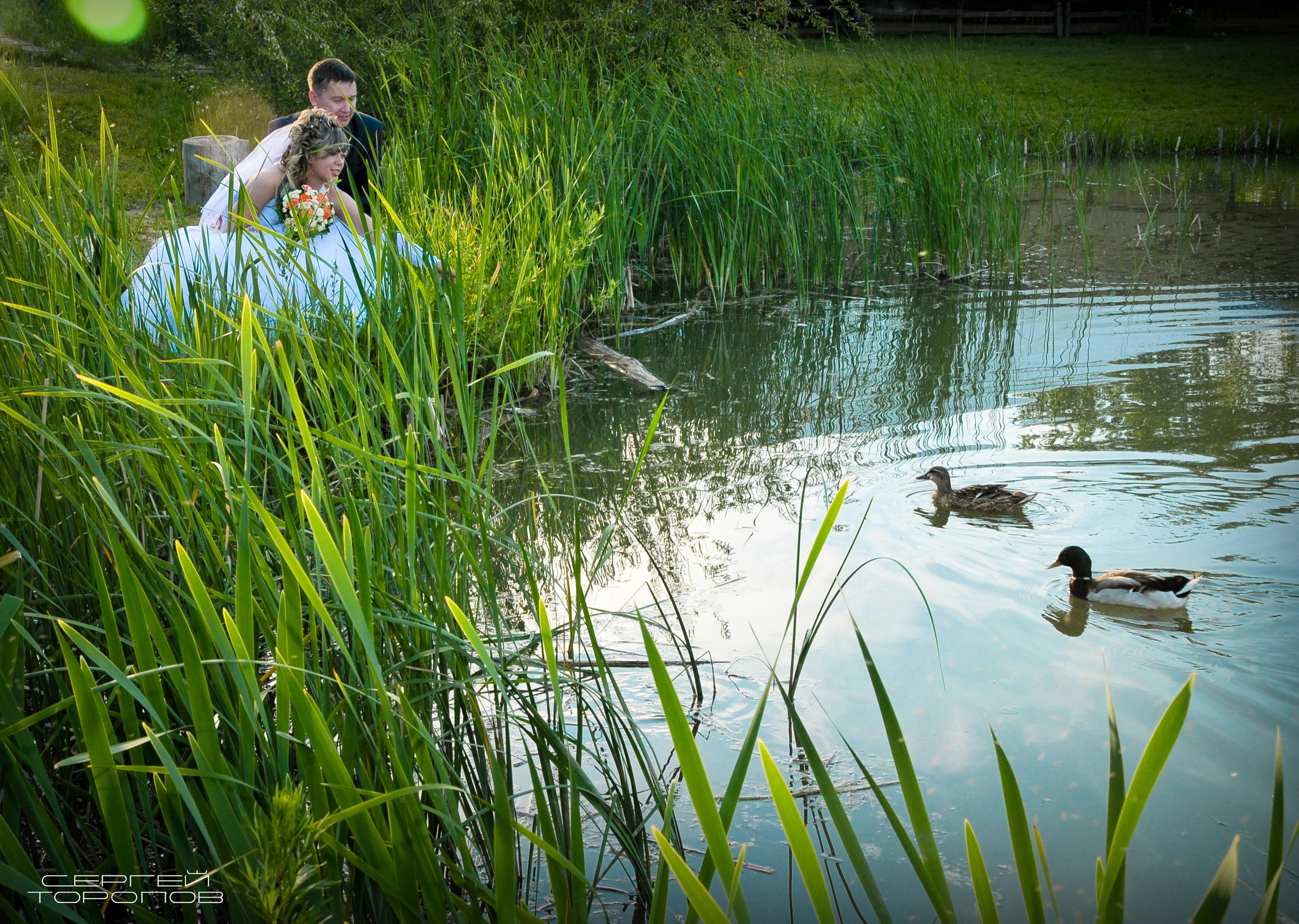 Жених и невеста фото у воды.