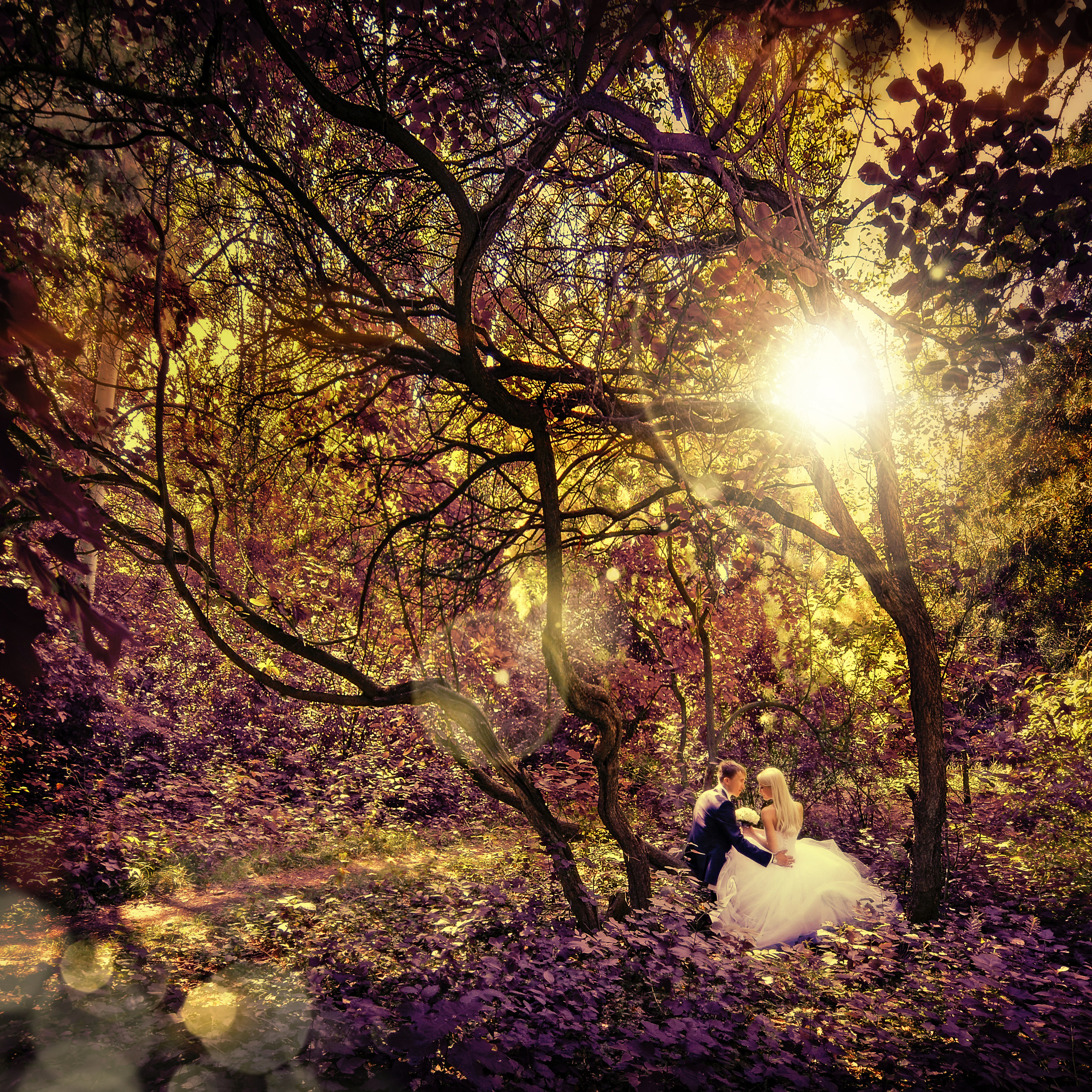 Свадьба в Самаре. Фотосессия в Ботаническом саду.