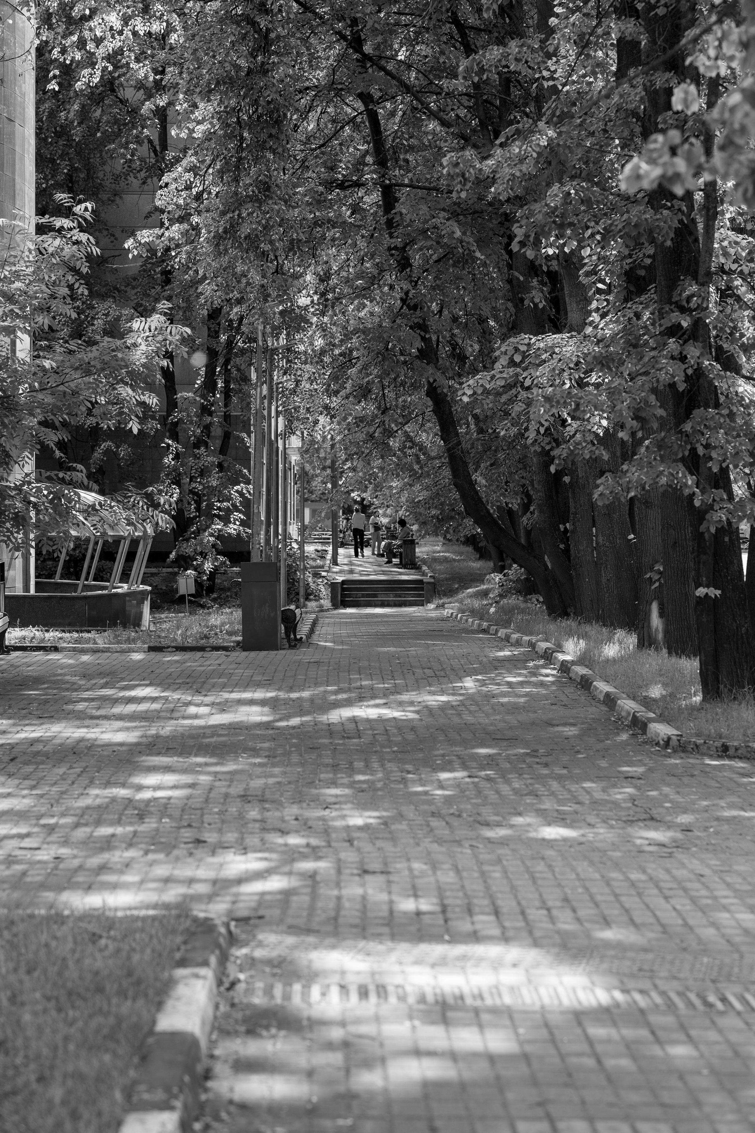 Город. Фотограф в Москве Тея Ми