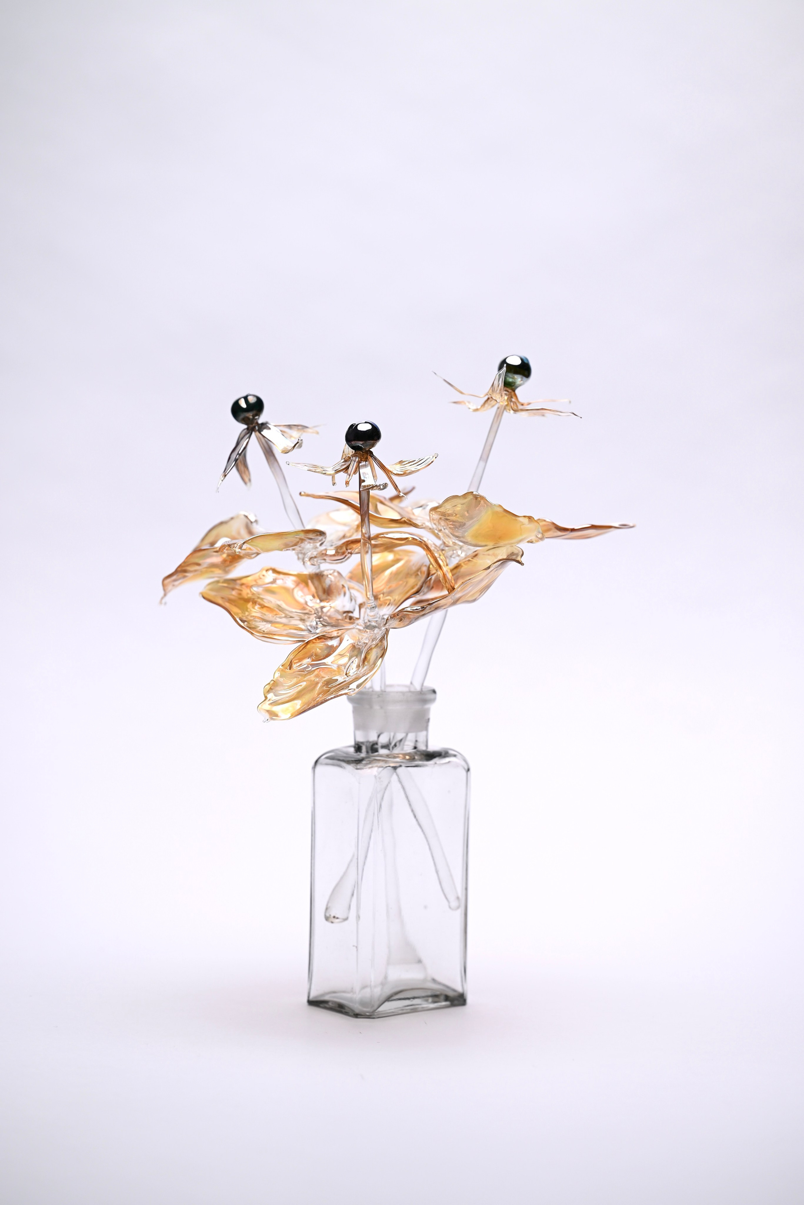 Вороний глаз. Главная