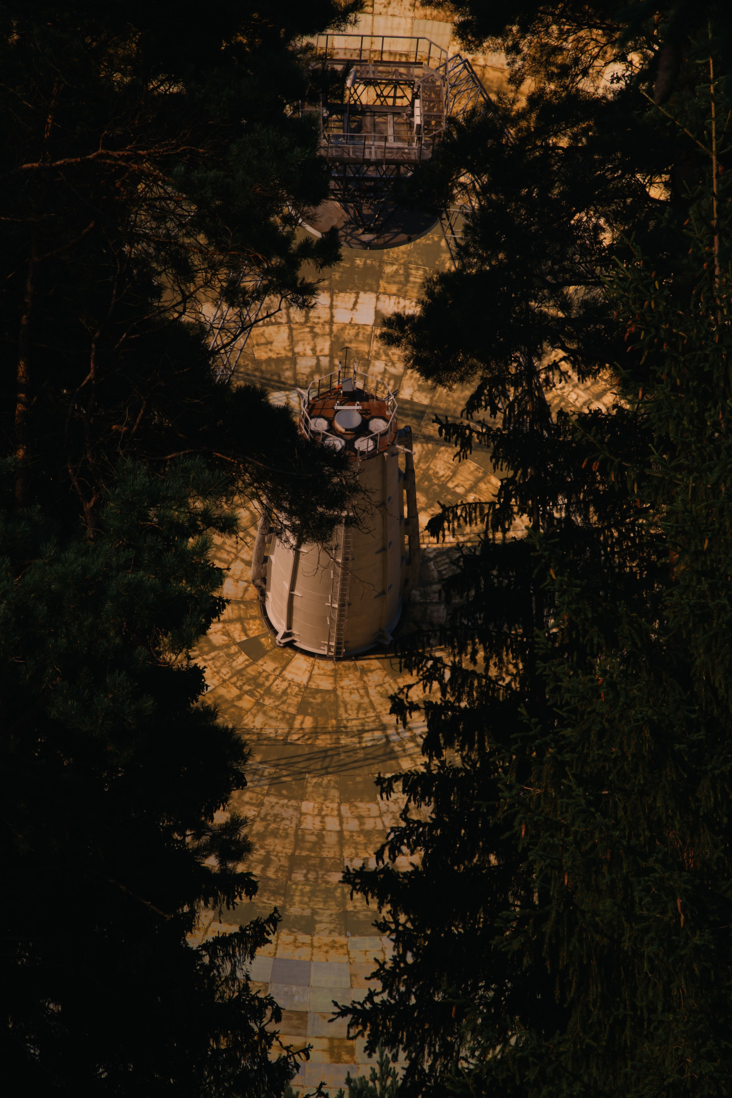 Паулино. Dmitriy [KCCC] is a pretty cool photographer