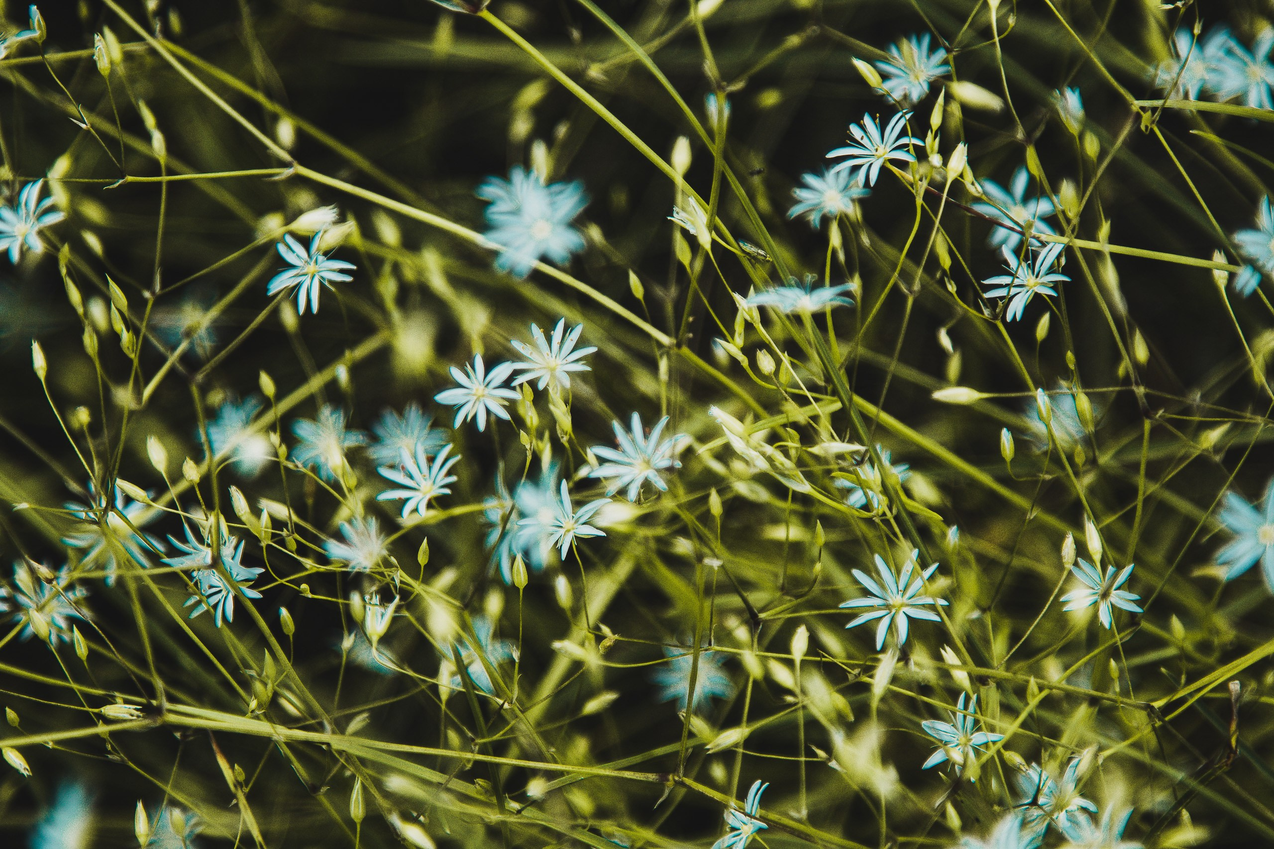 Репортаж. Репортажный фотограф Даниил Коваленко