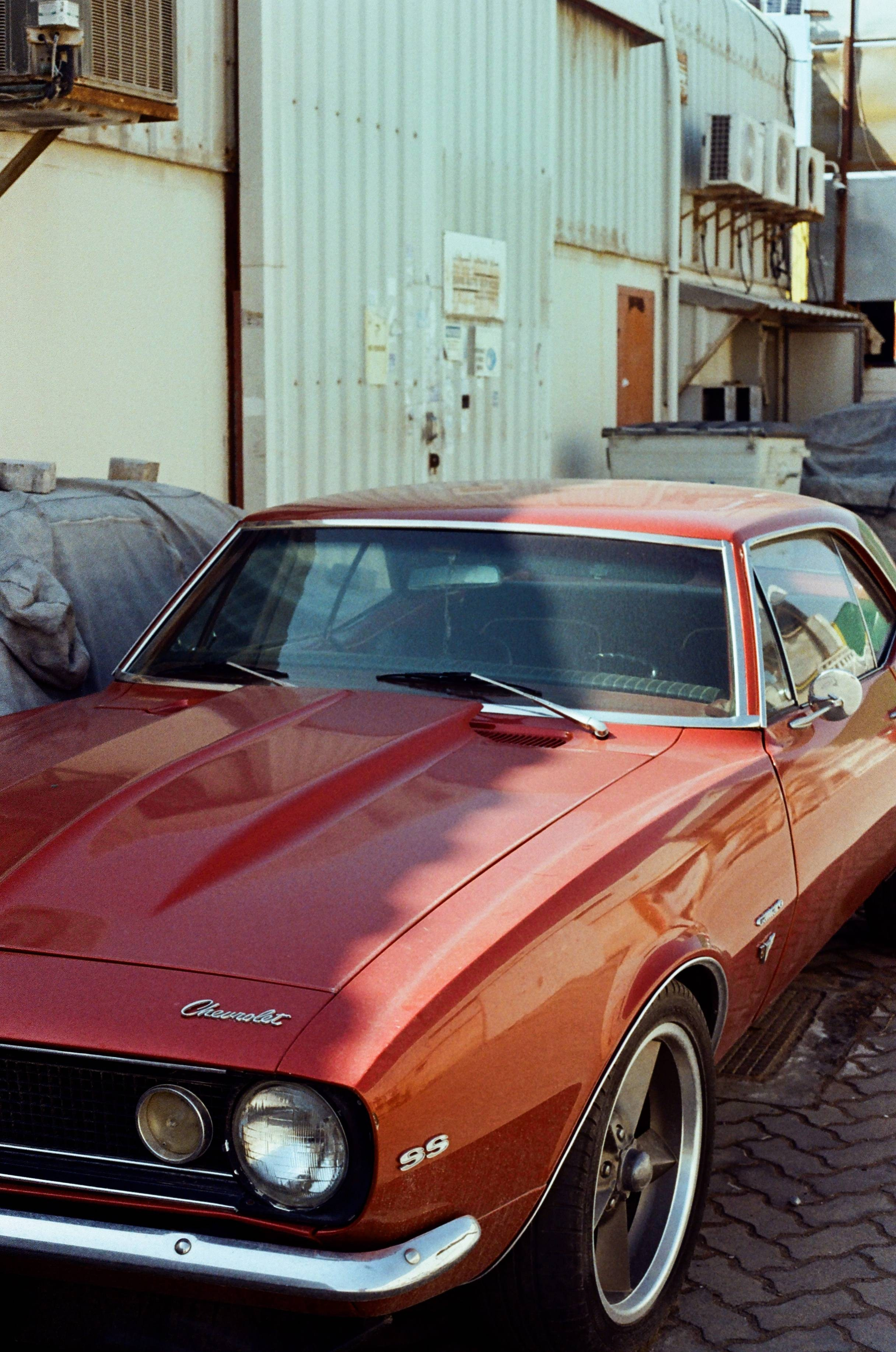 Places. TATIANA DARINA — film photographer in St. Petersburg