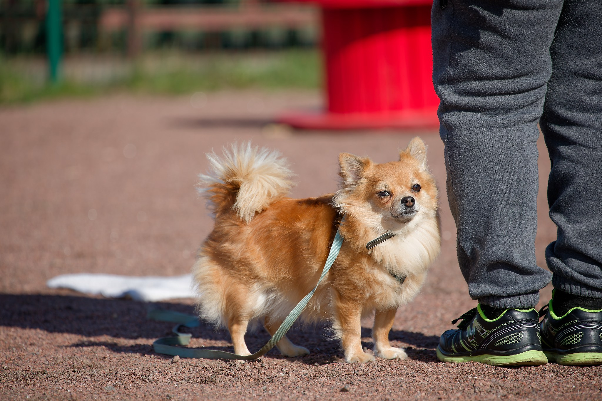 Турнир «Место». Irenephoto.ru