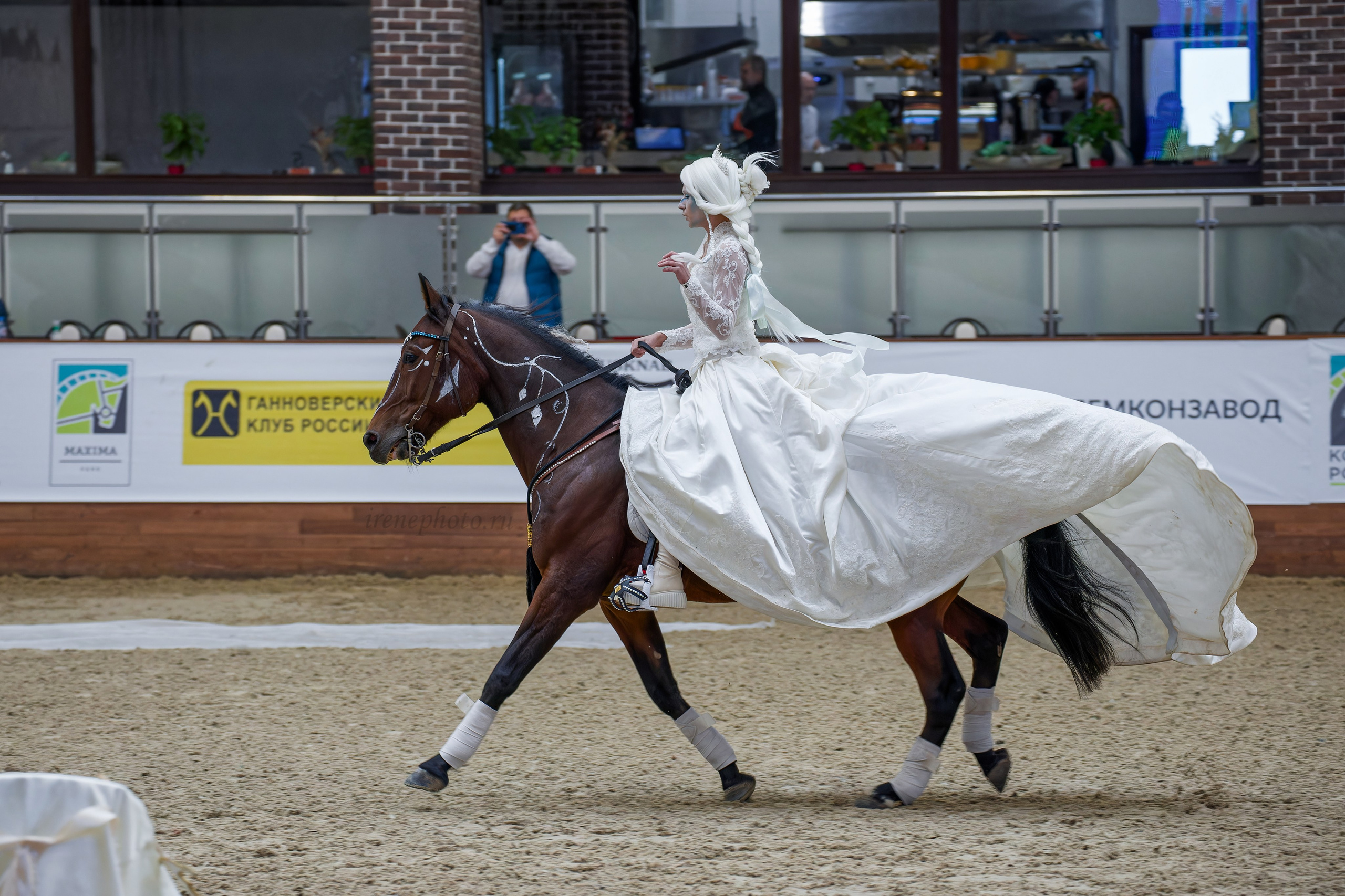 Конная Россия 2024. Irenephoto.ru