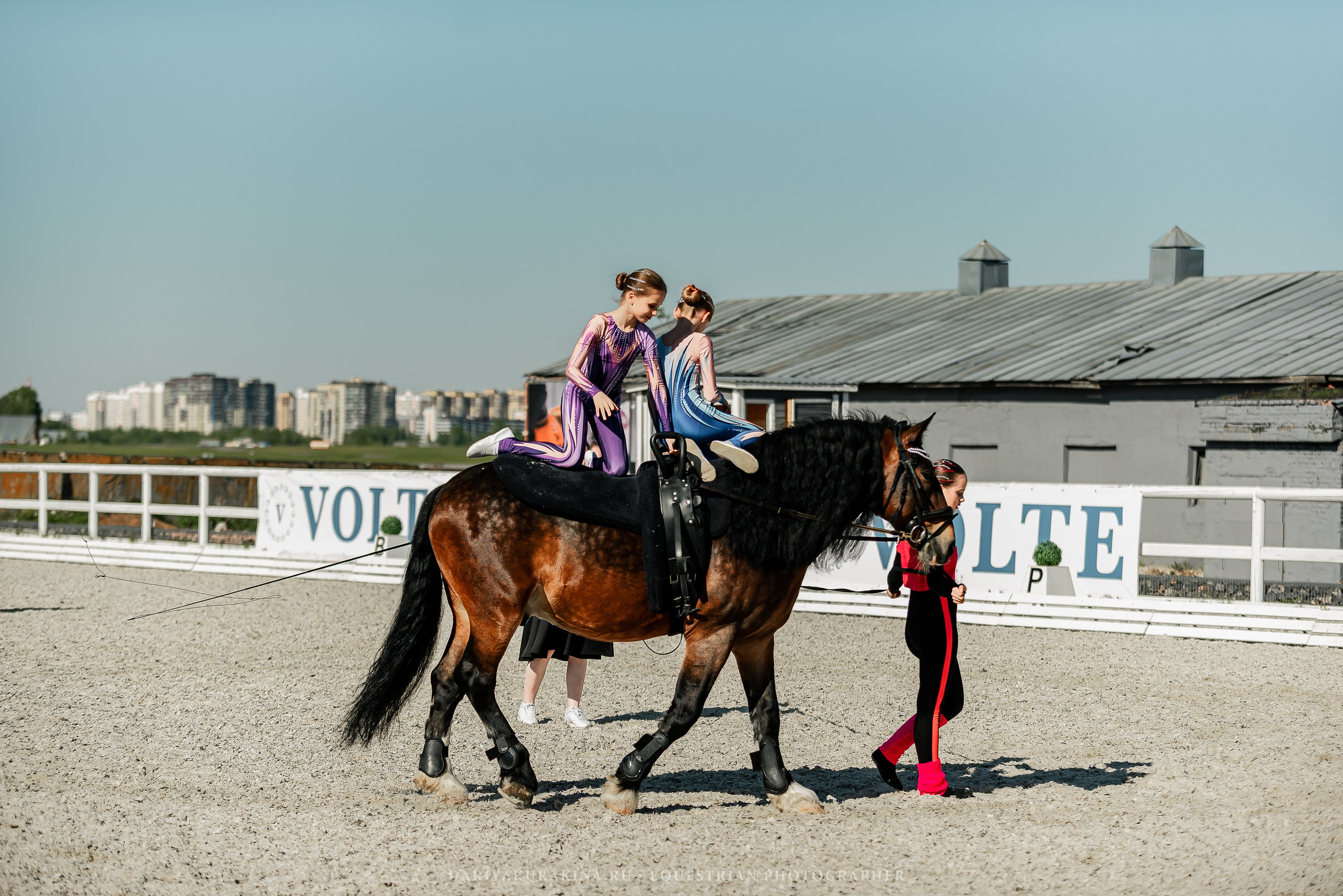 РЕПОРТАЖ МКК ВОЛЬТ «LA TULIPS». Конный фотограф Куракина Дарья • Фотосессии с лошадьми