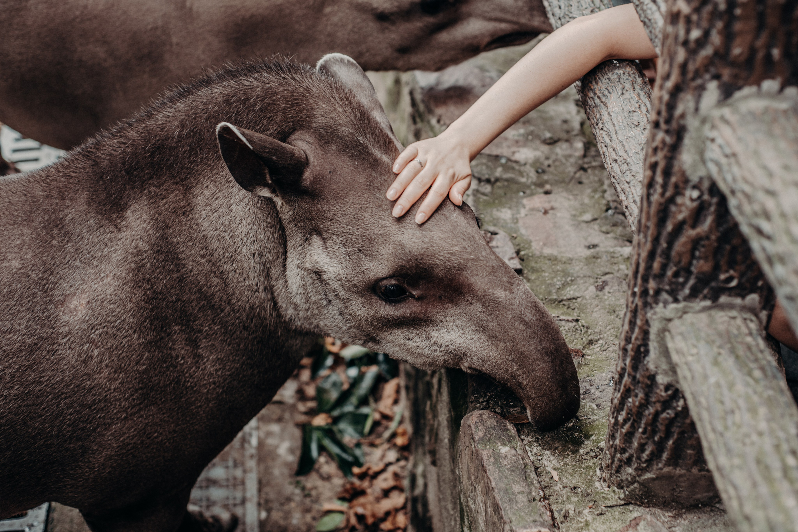 Рекламный фотограф из Гуанчжоу: вдохновение в улицах Шанхая. Коммерческий и предметный фотограф в Гуанчжоу Коваленко Александр