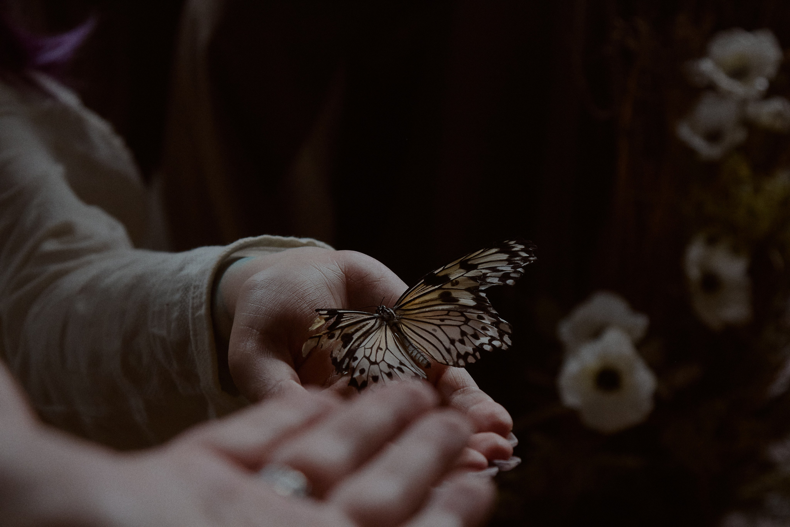 Мать и Дочь. Фотограф лавстори Москва/МО Приятелева Ангелина