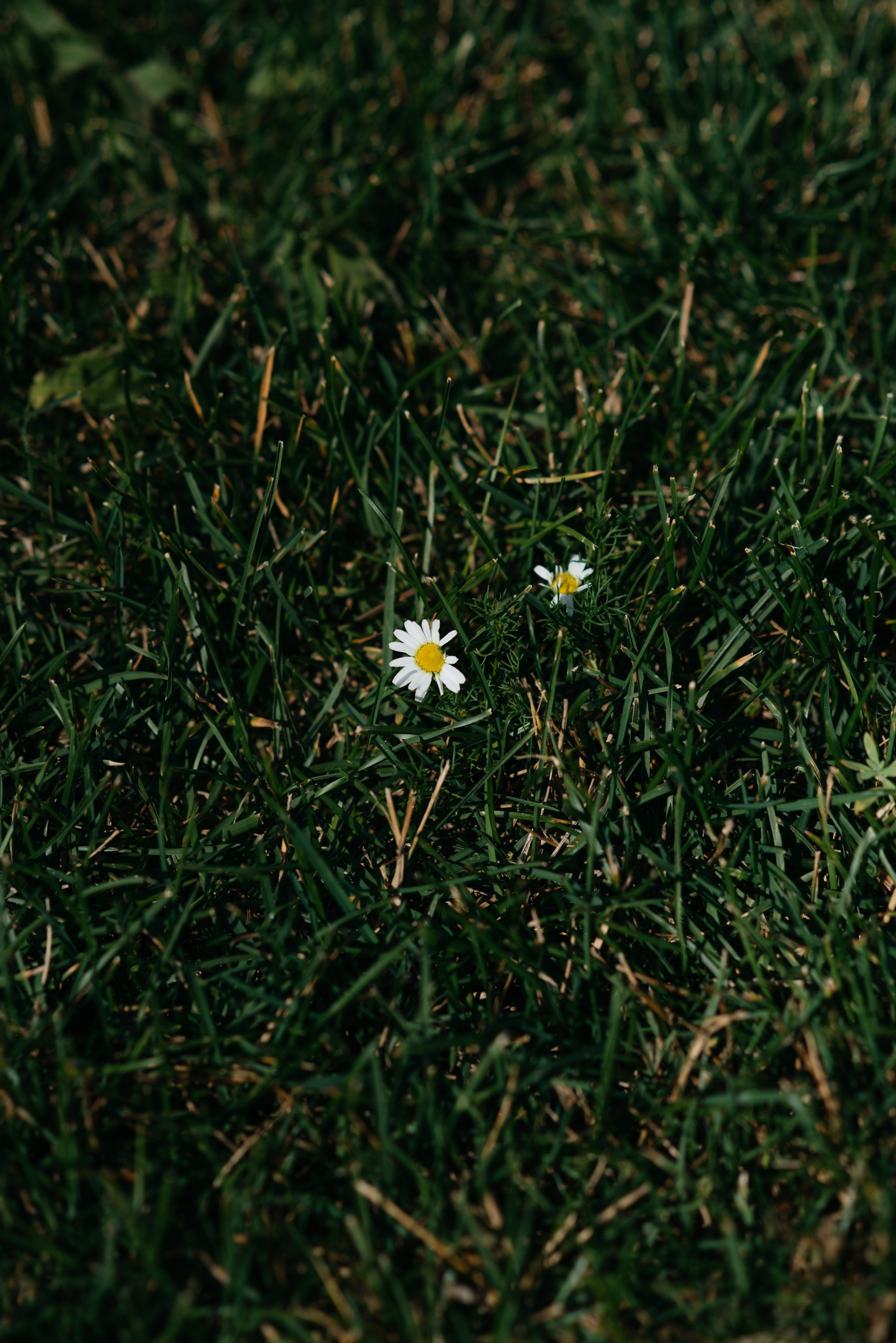 Татьяна&Илья. Свадебный фотограф Ижевск Петр Шишков