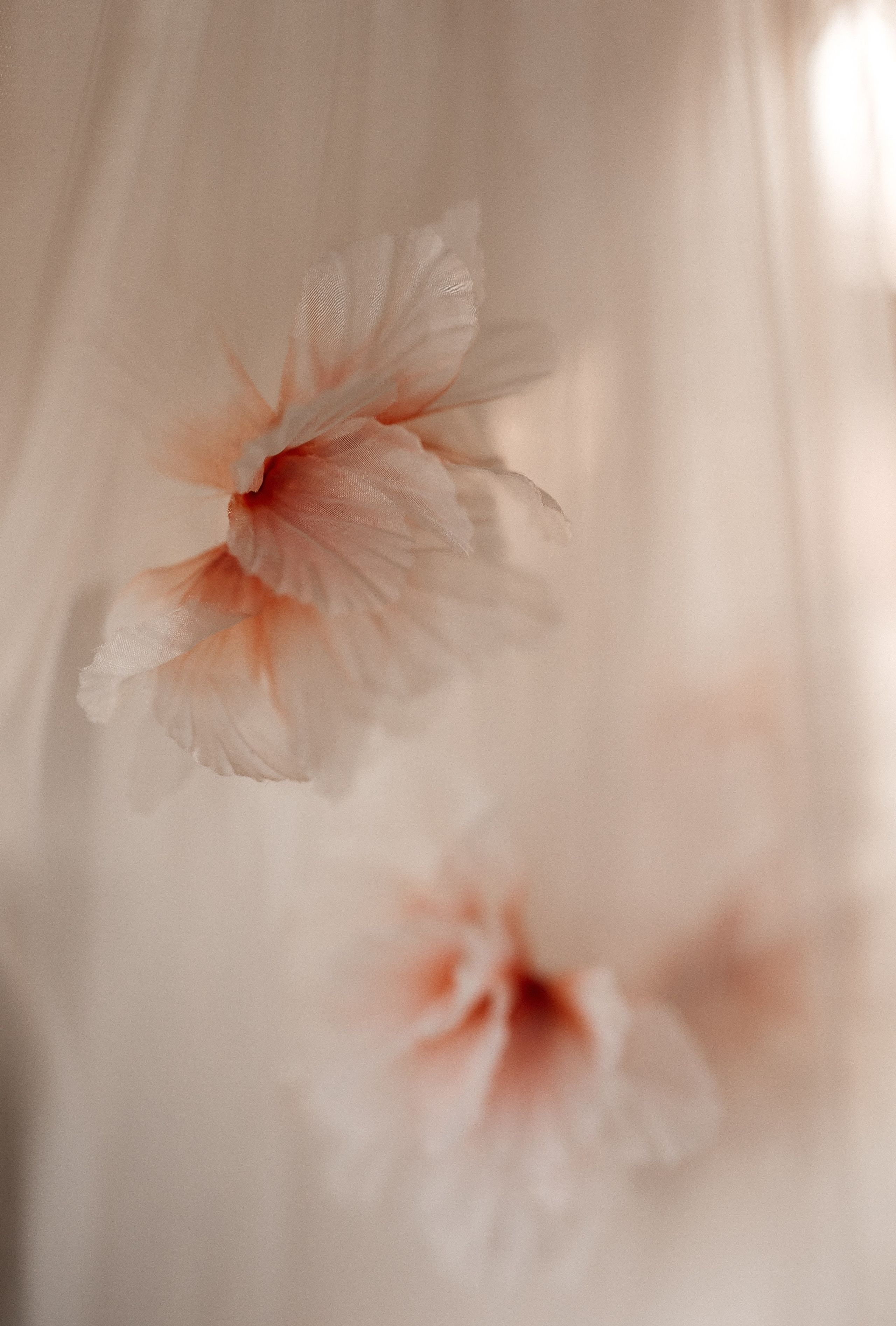 Максим & Алина I 12.09.25. Свадебный и семейный фотограф в Омске Евгения Хакимова